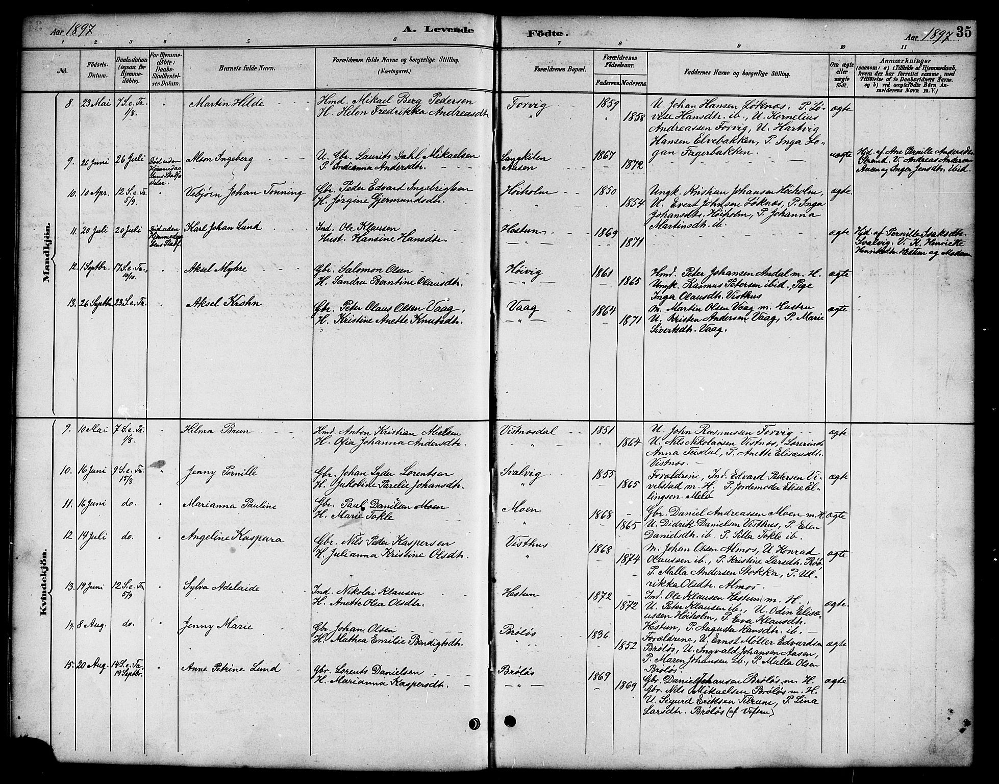 Ministerialprotokoller, klokkerbøker og fødselsregistre - Nordland, AV/SAT-A-1459/819/L0277: Parish register (copy) no. 819C03, 1888-1917, p. 35