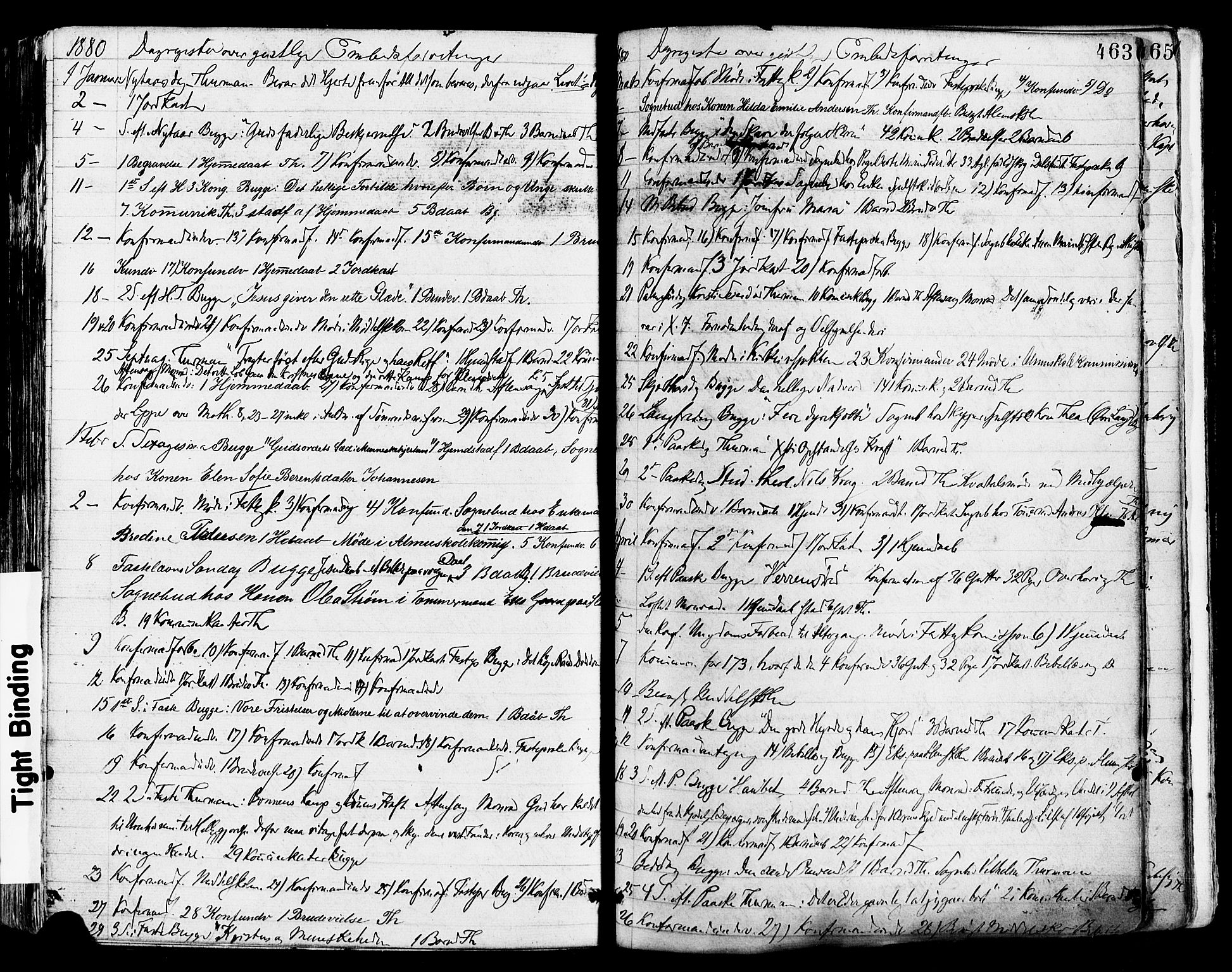 Tønsberg kirkebøker, AV/SAKO-A-330/F/Fa/L0010: Parish register (official) no. I 10, 1874-1880, p. 463