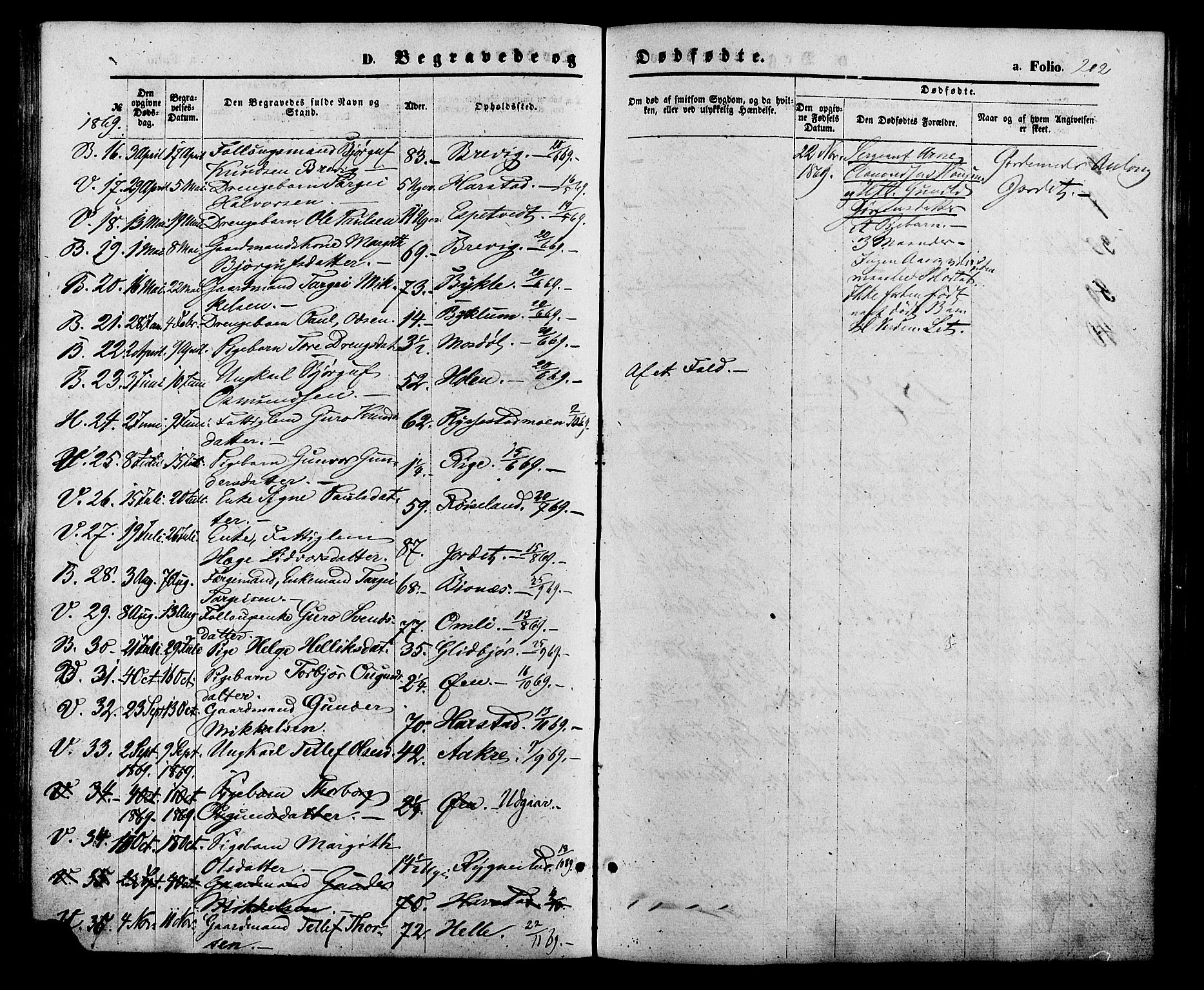 Valle sokneprestkontor, AV/SAK-1111-0044/F/Fa/Fac/L0008: Parish register (official) no. A 8, 1868-1882, p. 202