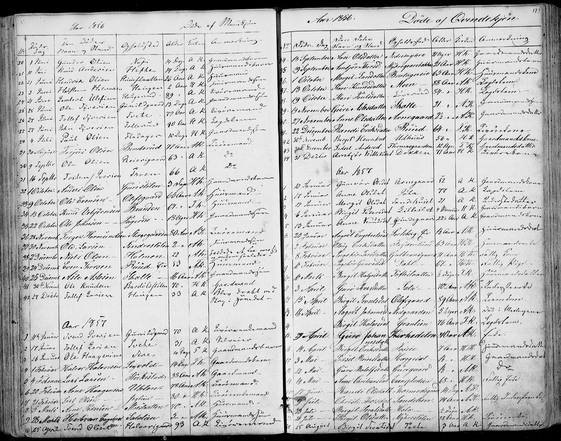Ål kirkebøker, SAKO/A-249/F/Fa/L0006: Parish register (official) no. I 6, 1849-1864, p. 173