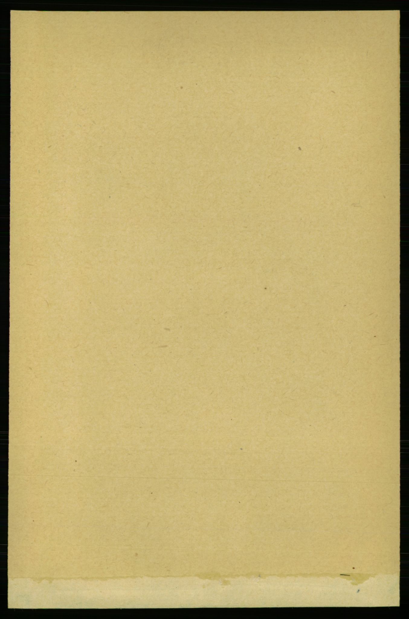 RA, 1891 census for 1658 Børsa, 1891, p. 1456
