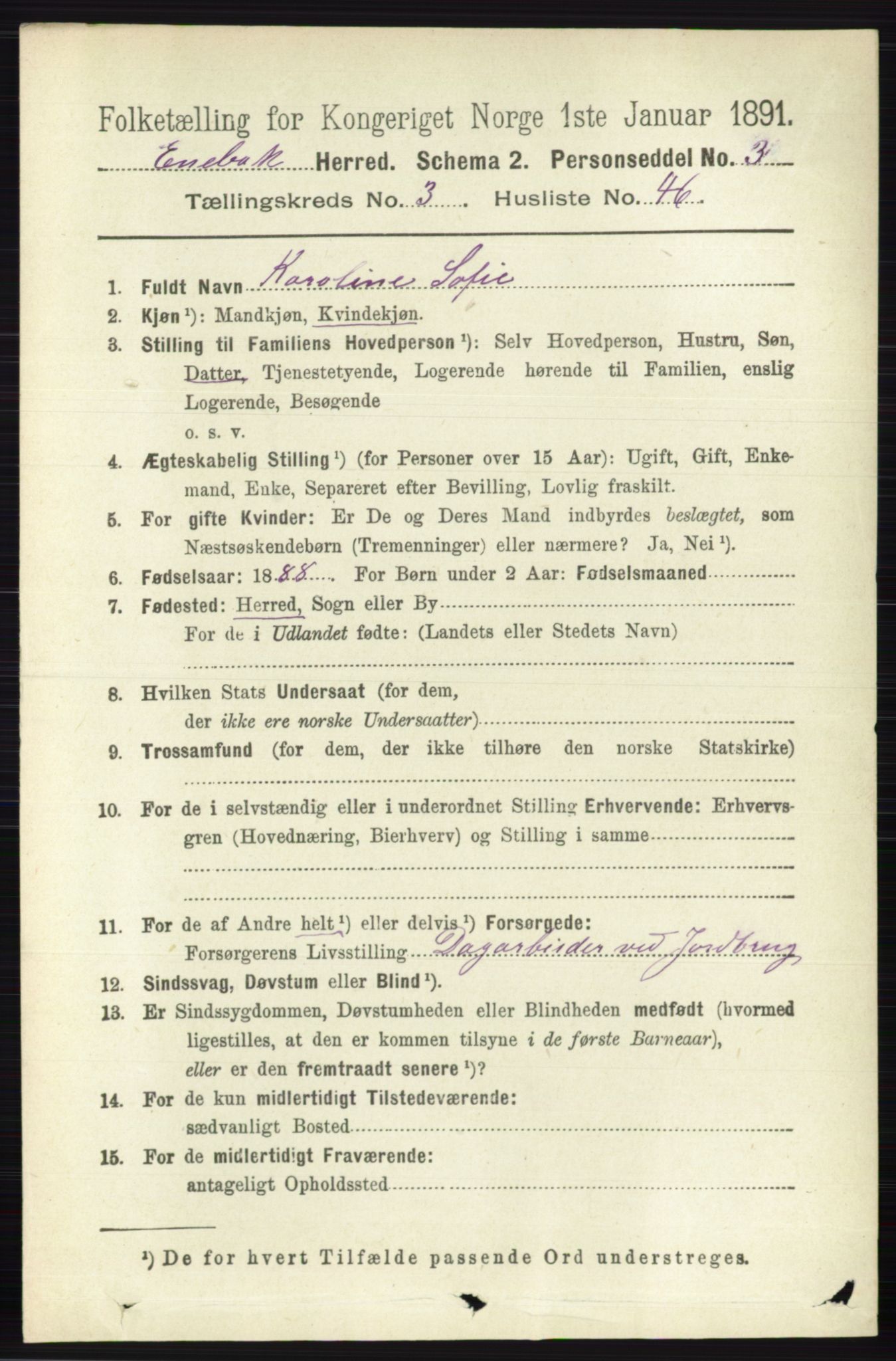 RA, 1891 census for 0229 Enebakk, 1891, p. 1408