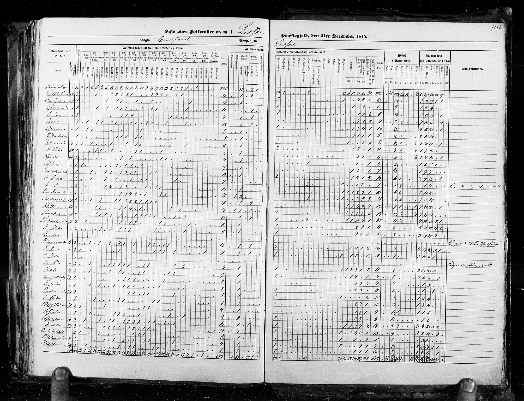 RA, Census 1845, vol. 3: Hedemarken amt og Kristians amt, 1845, p. 425