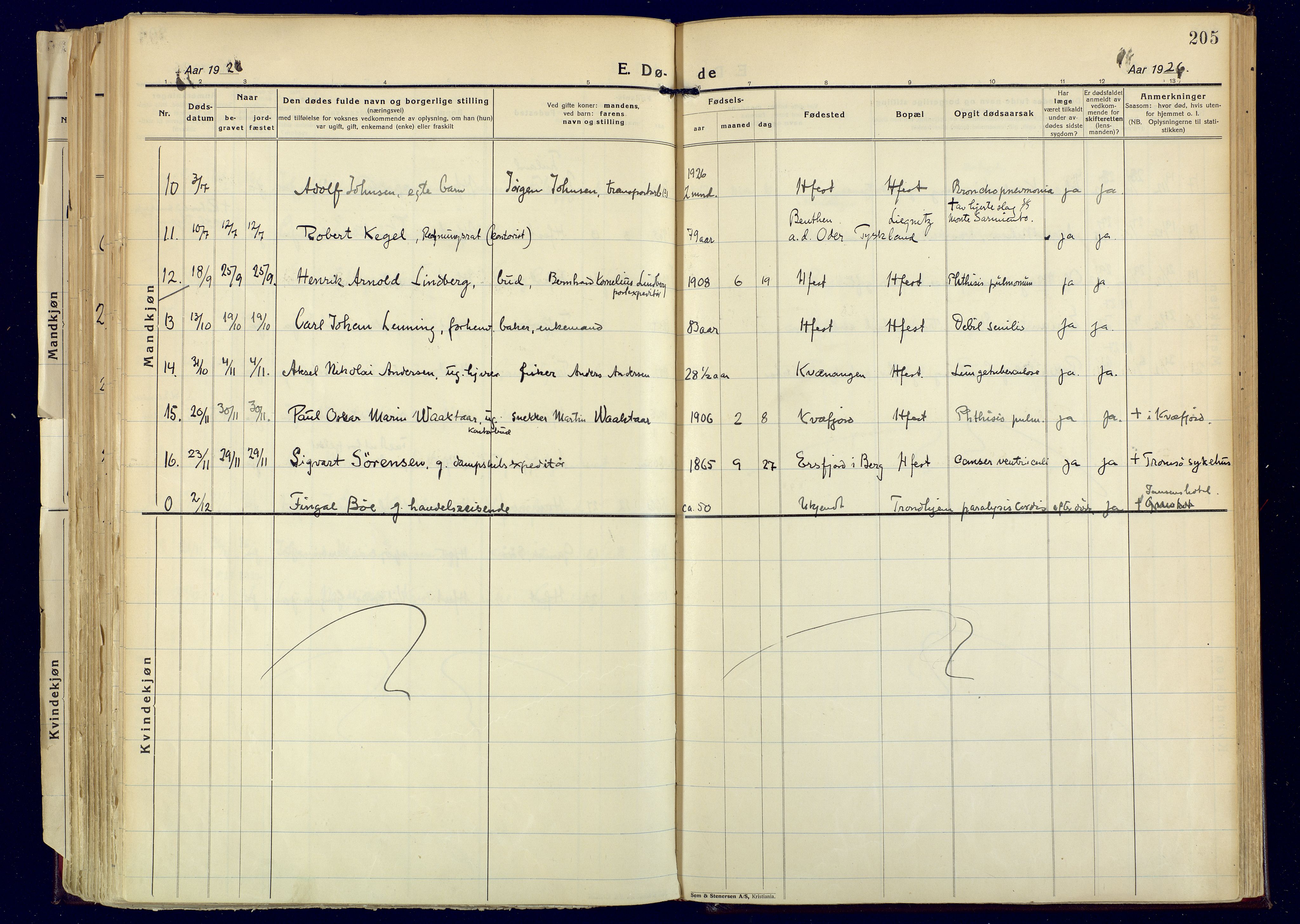 Hammerfest sokneprestkontor, AV/SATØ-S-1347/H/Ha/L0017.kirke: Parish register (official) no. 17, 1923-1933, p. 205