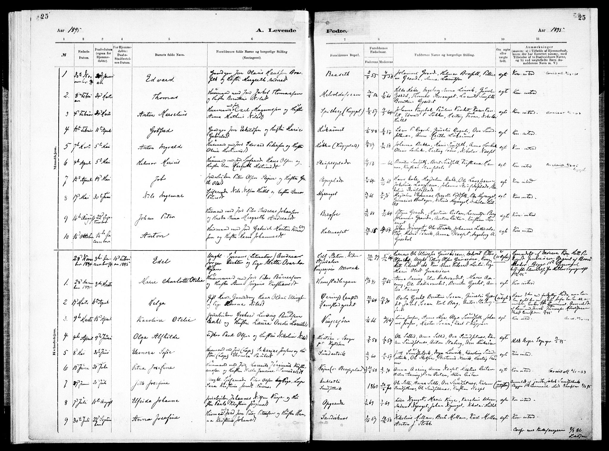 Ministerialprotokoller, klokkerbøker og fødselsregistre - Nord-Trøndelag, SAT/A-1458/733/L0325: Parish register (official) no. 733A04, 1884-1908, p. 25