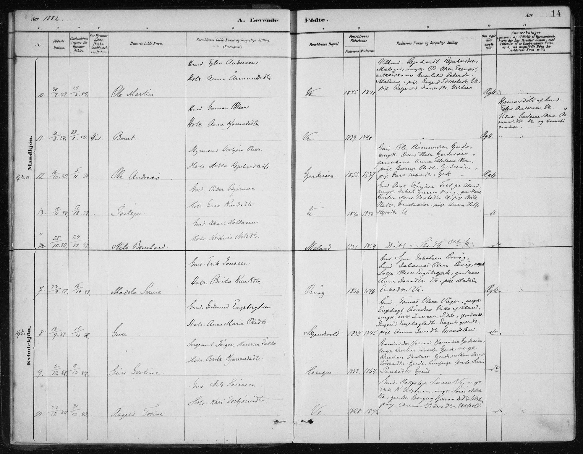 Etne sokneprestembete, SAB/A-75001/H/Haa: Parish register (official) no. C  1, 1879-1919, p. 14