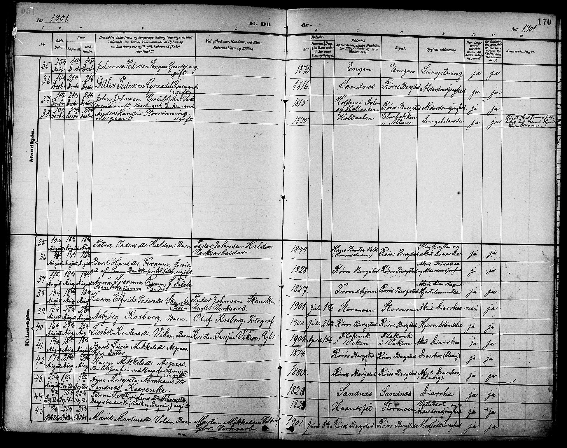 Ministerialprotokoller, klokkerbøker og fødselsregistre - Sør-Trøndelag, AV/SAT-A-1456/681/L0941: Parish register (copy) no. 681C05, 1896-1905, p. 170