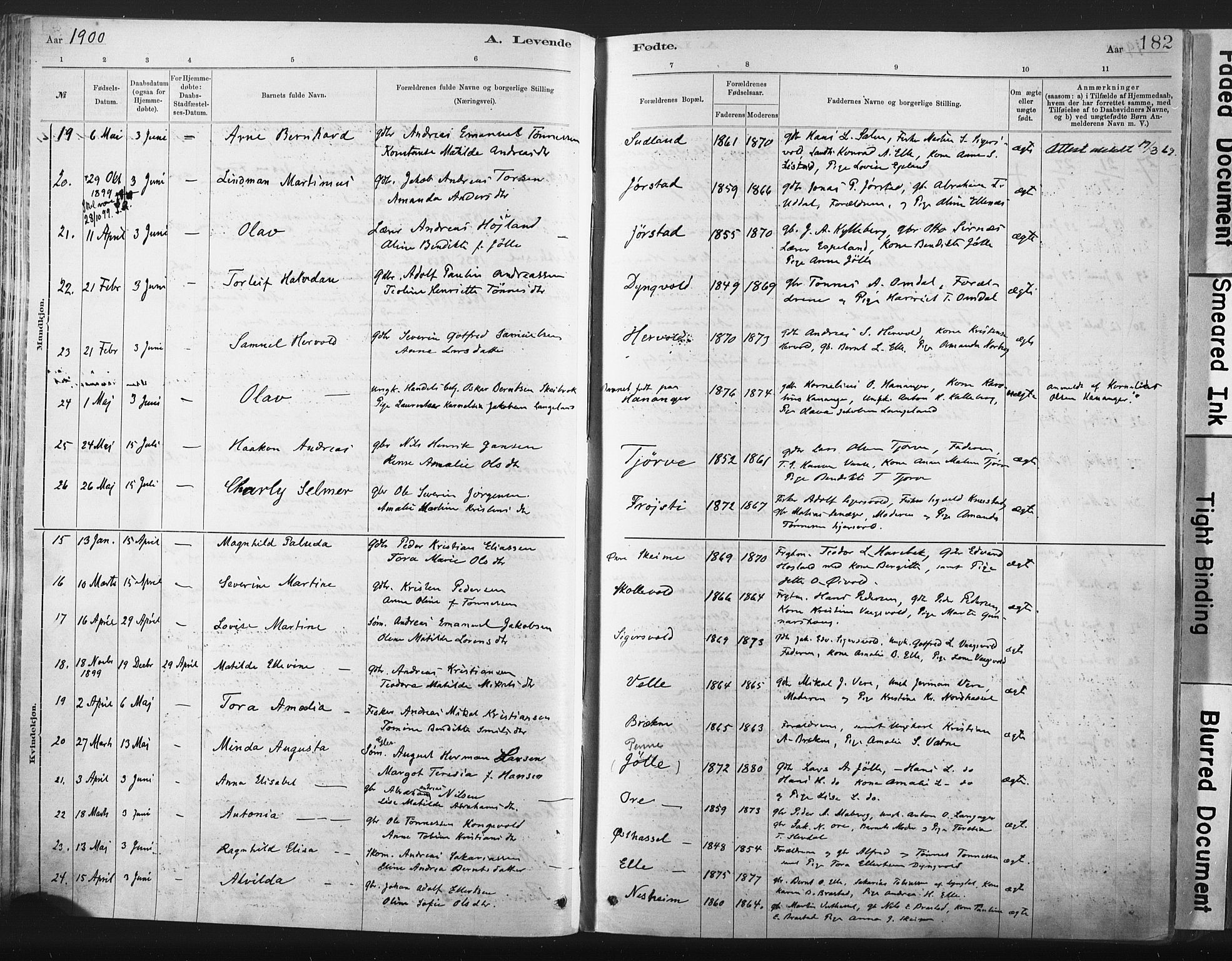 Lista sokneprestkontor, AV/SAK-1111-0027/F/Fa/L0012: Parish register (official) no. A 12, 1879-1903, p. 182