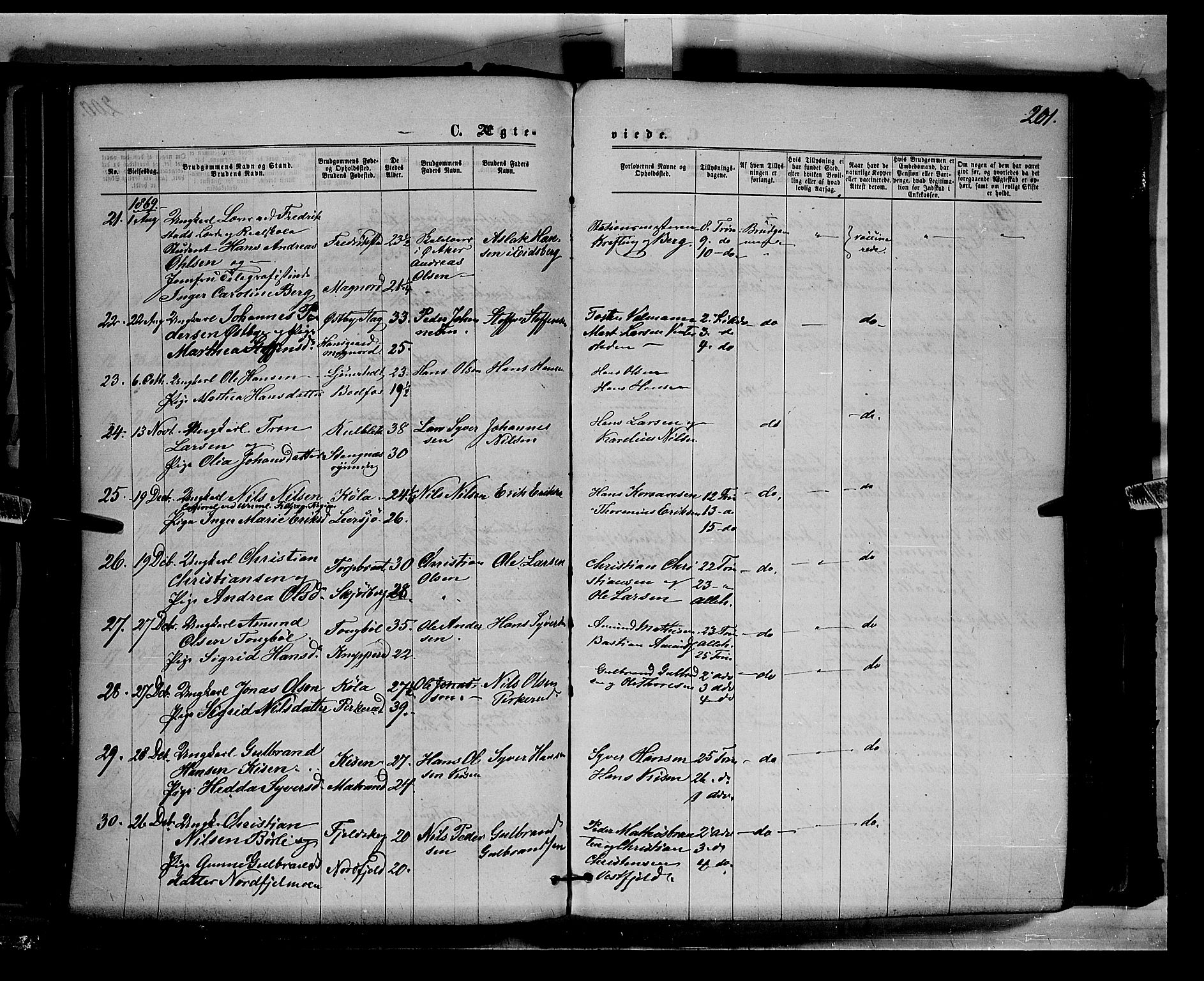 Eidskog prestekontor, AV/SAH-PREST-026/H/Ha/Haa/L0002: Parish register (official) no. 2, 1867-1878, p. 201