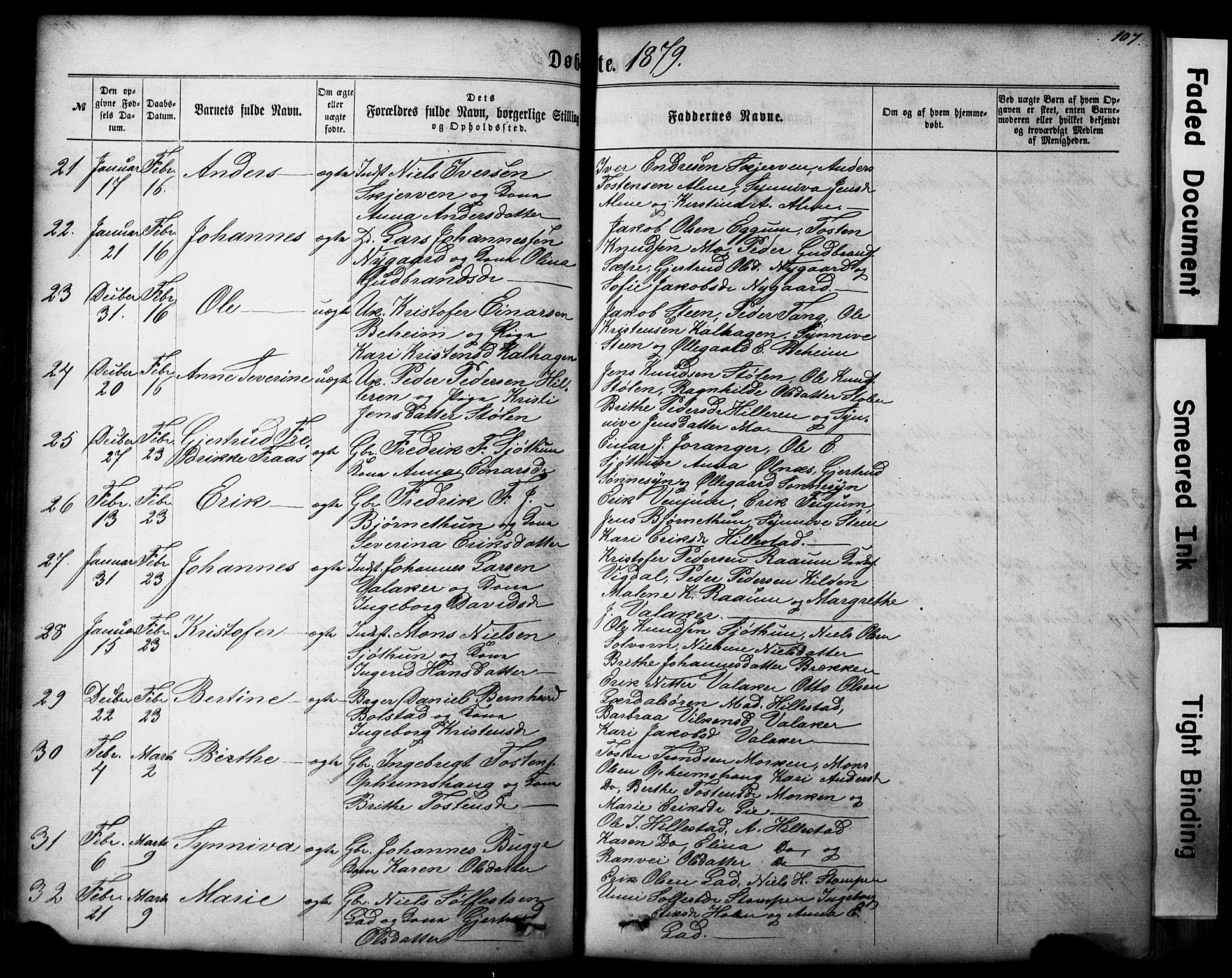 Hafslo sokneprestembete, AV/SAB-A-80301/H/Hab/Haba/L0001: Parish register (copy) no. A 1, 1866-1908, p. 107