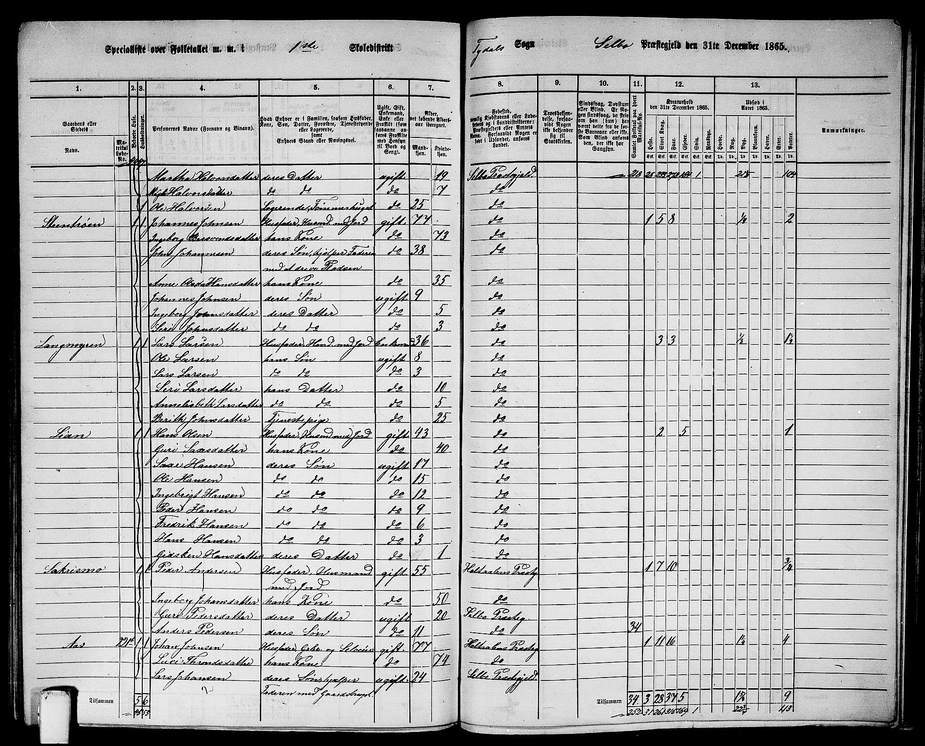 RA, 1865 census for Selbu, 1865, p. 230