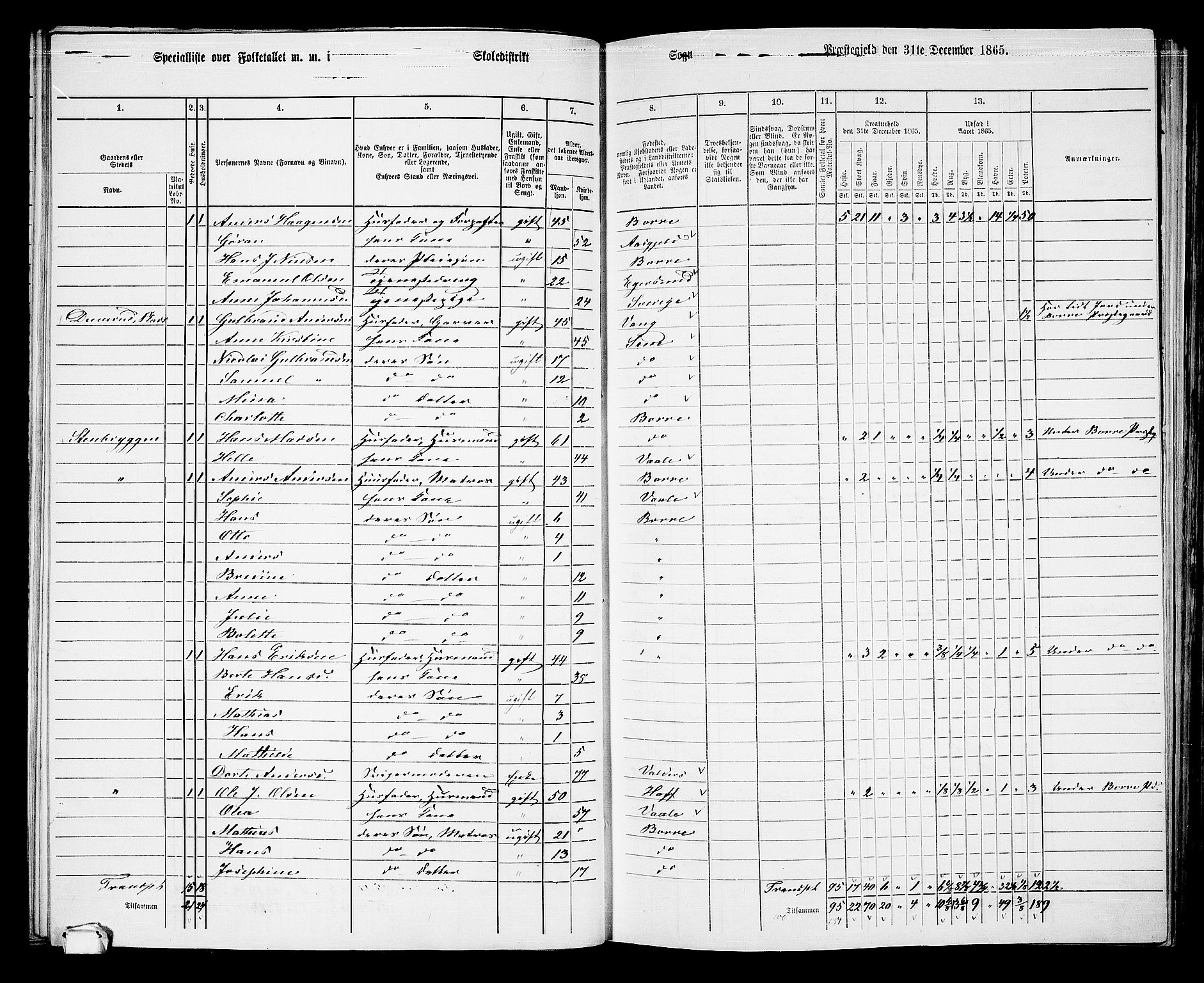 RA, 1865 census for Borre, 1865, p. 67