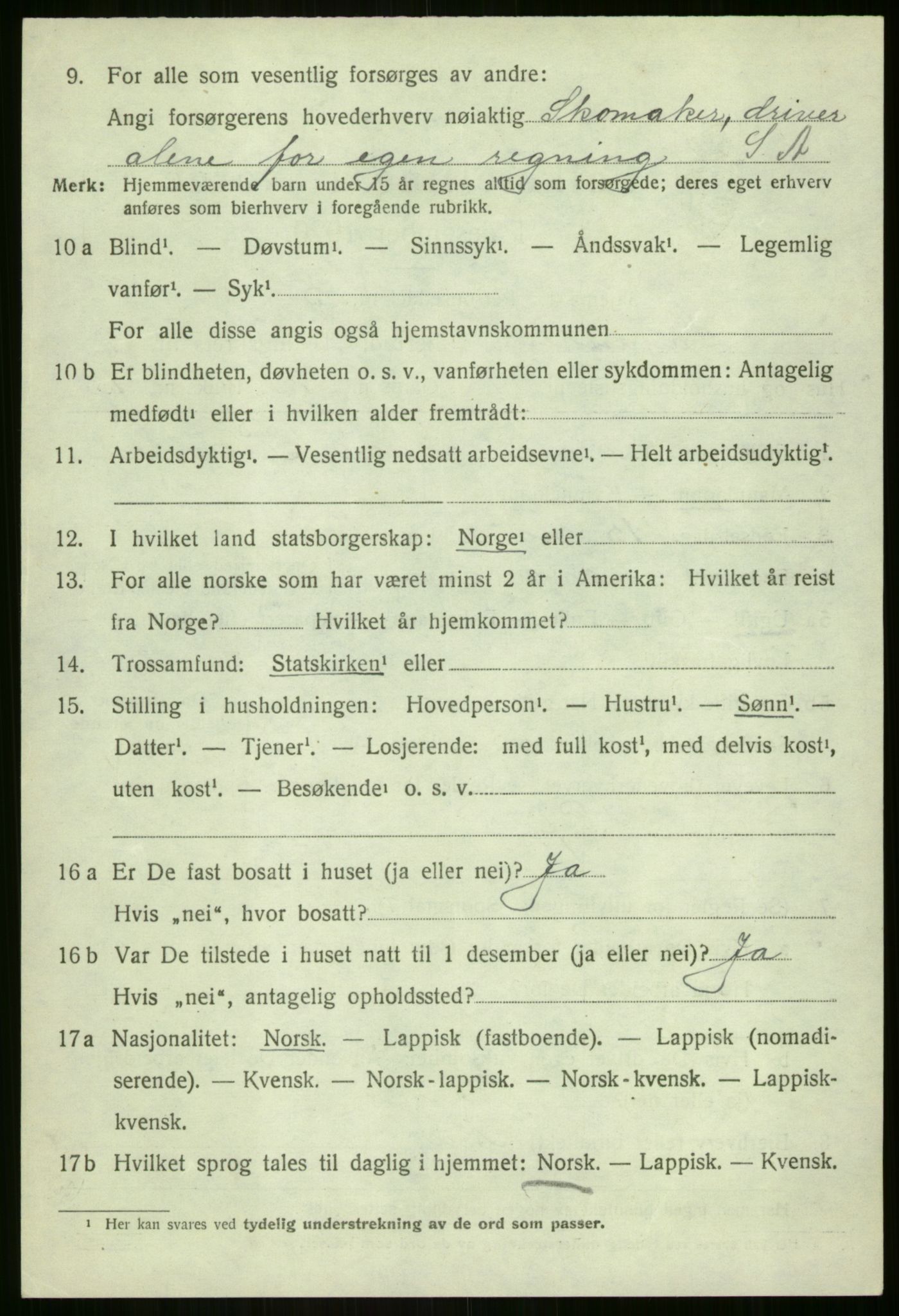 SATØ, 1920 census for Lavangen, 1920, p. 528