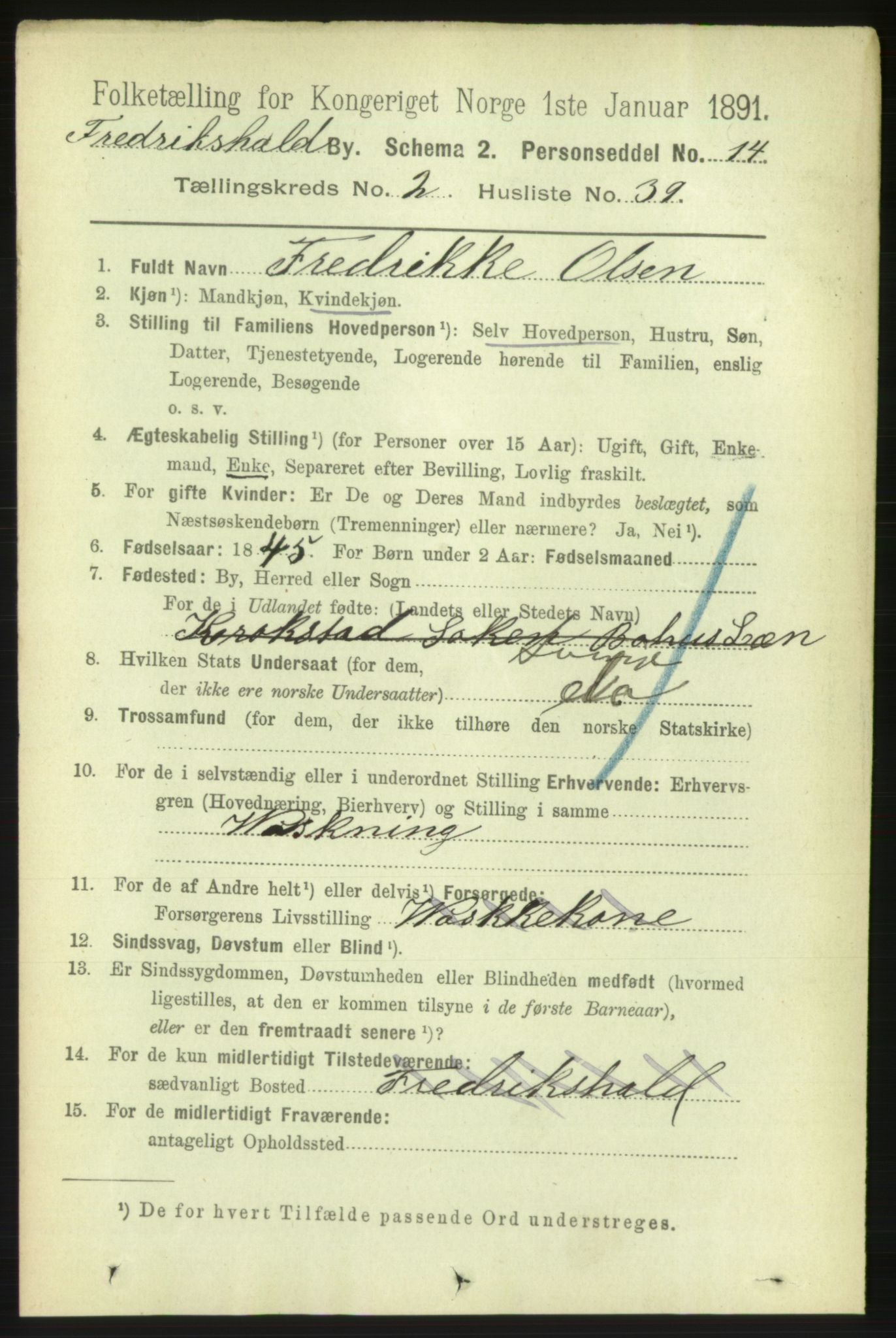 RA, 1891 census for 0101 Fredrikshald, 1891, p. 3181