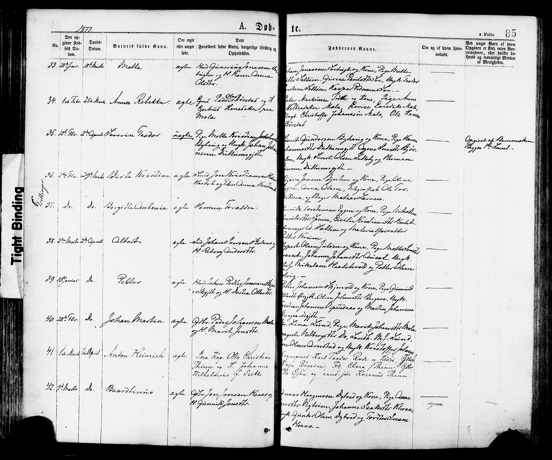 Ministerialprotokoller, klokkerbøker og fødselsregistre - Nord-Trøndelag, AV/SAT-A-1458/709/L0076: Parish register (official) no. 709A16, 1871-1879, p. 85