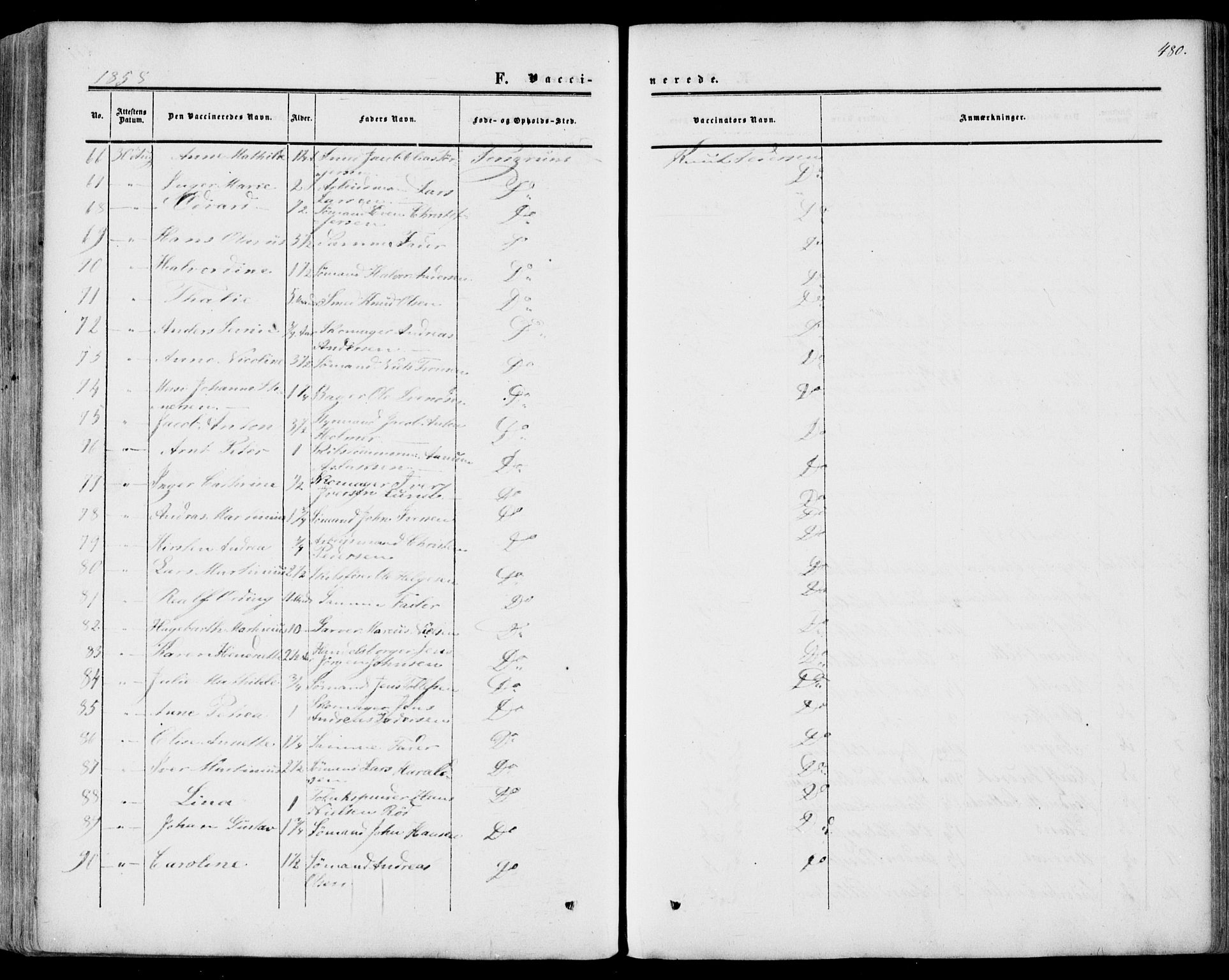 Porsgrunn kirkebøker , AV/SAKO-A-104/F/Fa/L0007: Parish register (official) no. 7, 1858-1877, p. 480