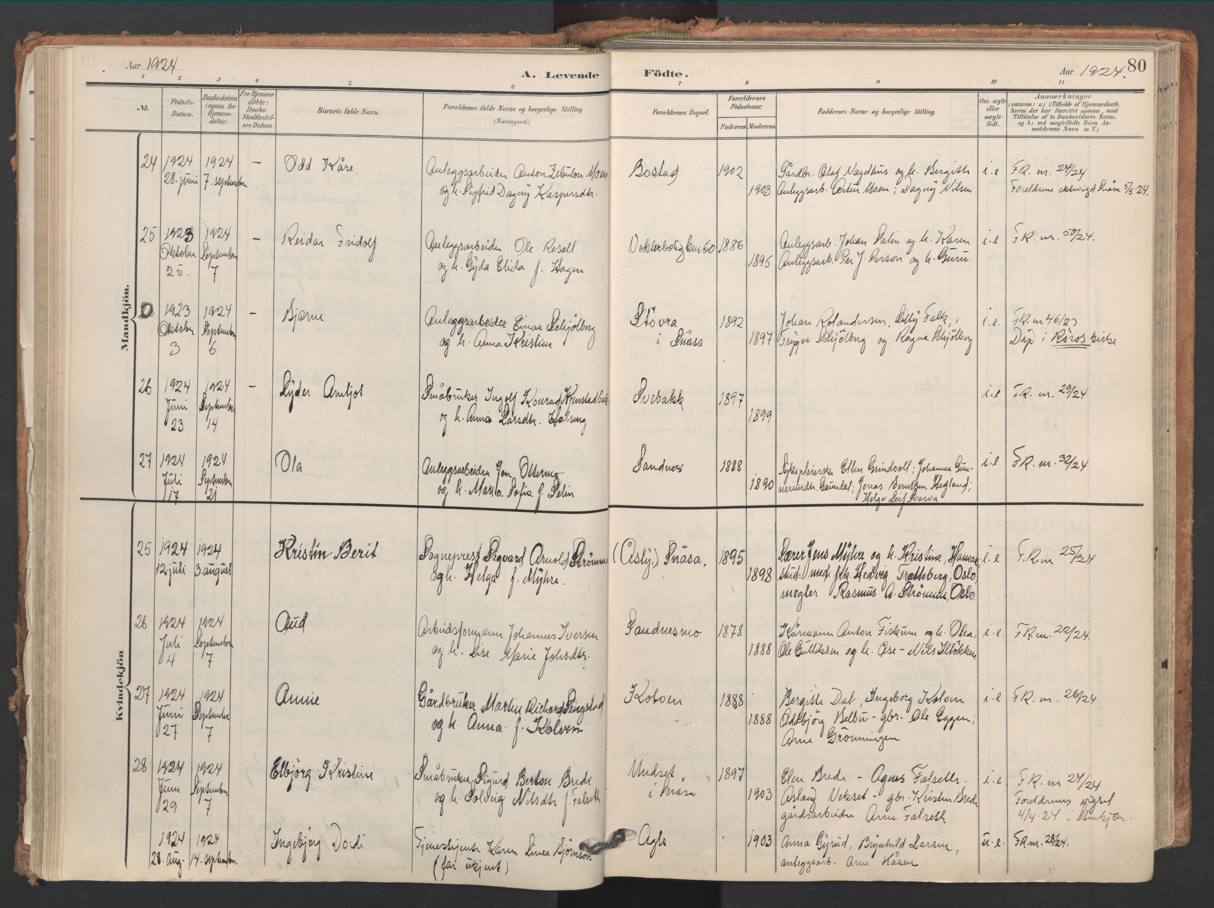 Ministerialprotokoller, klokkerbøker og fødselsregistre - Nord-Trøndelag, AV/SAT-A-1458/749/L0477: Parish register (official) no. 749A11, 1902-1927, p. 80