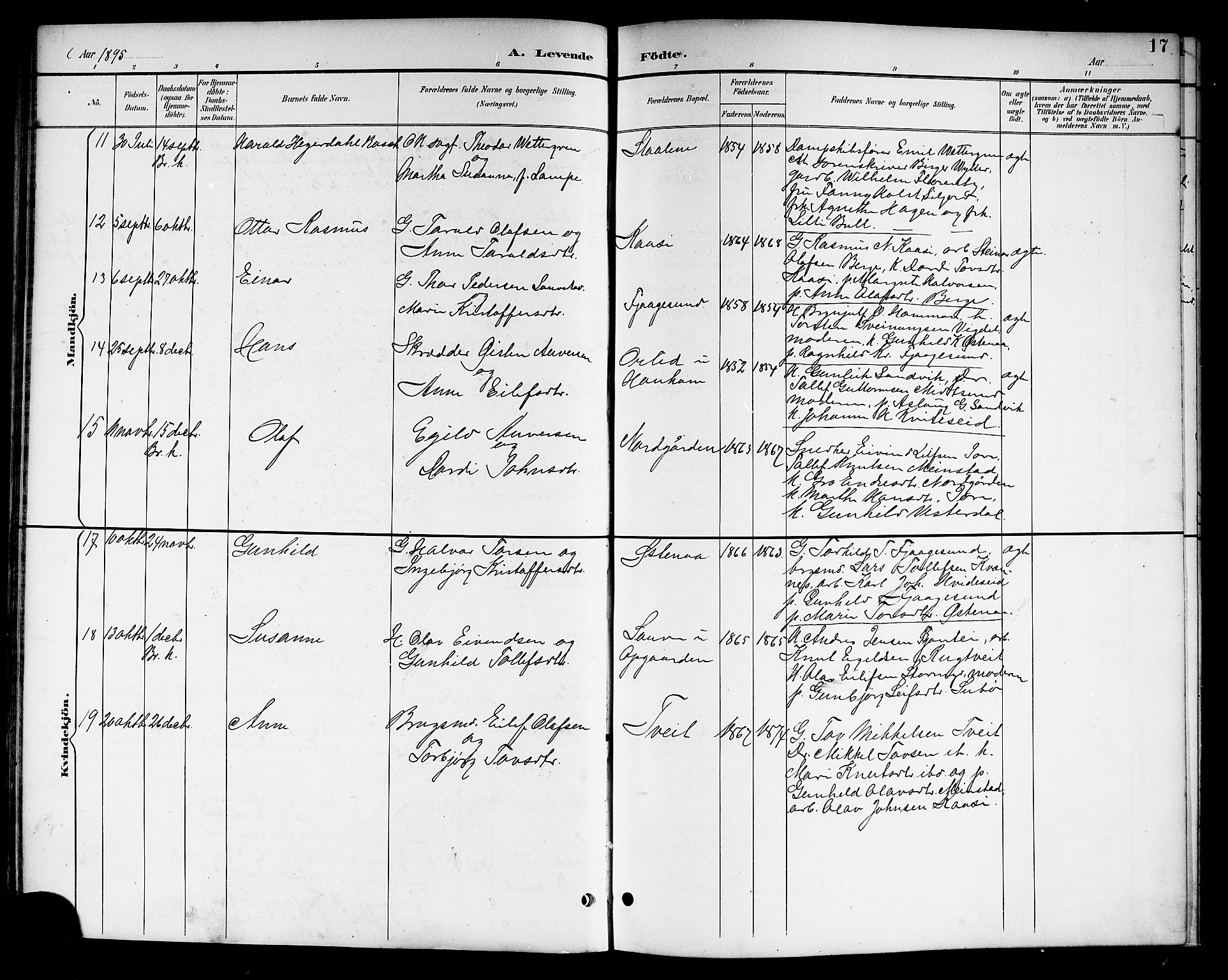 Kviteseid kirkebøker, SAKO/A-276/G/Ga/L0002: Parish register (copy) no. I 2, 1893-1918, p. 17