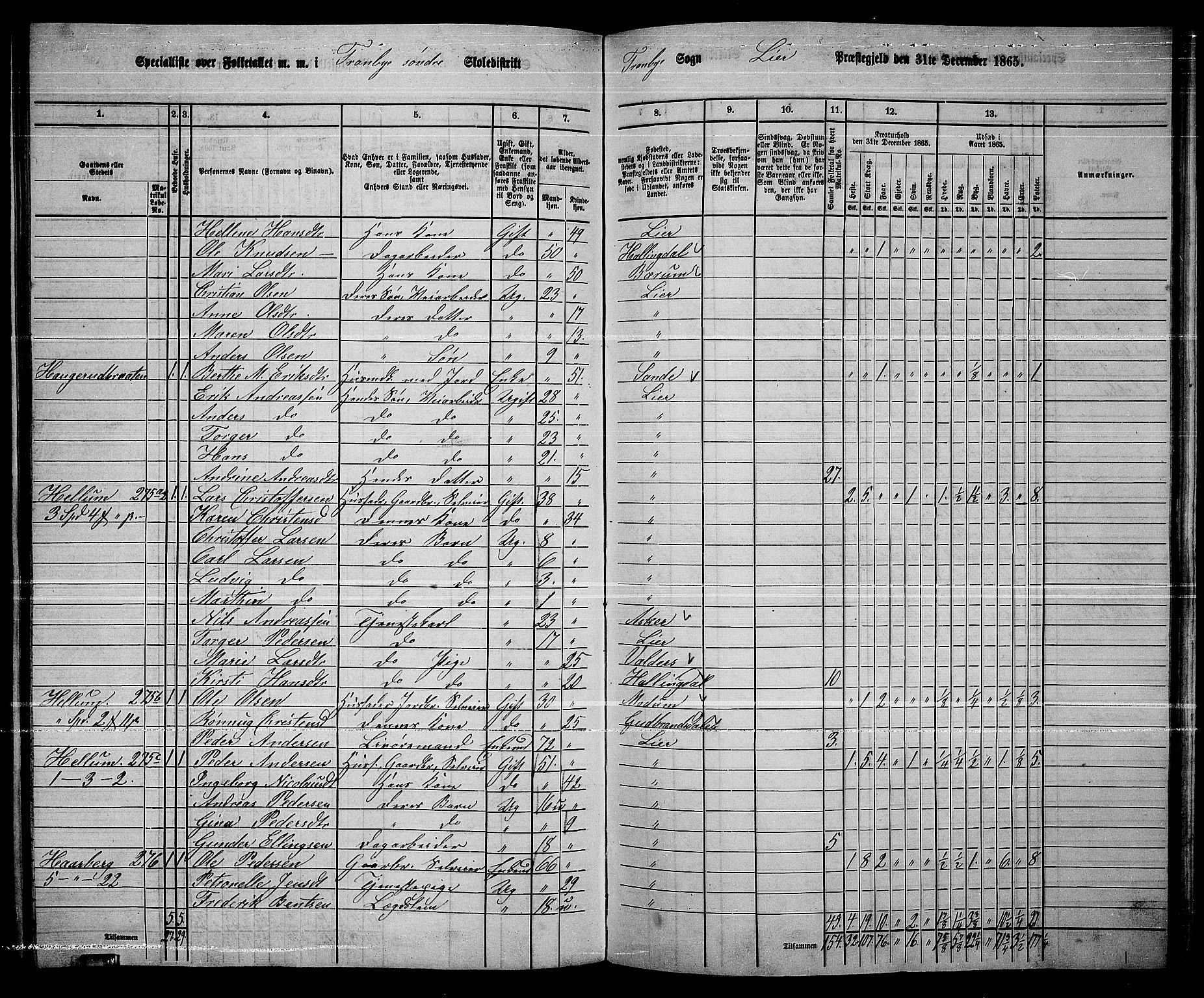 RA, 1865 census for Lier, 1865, p. 188