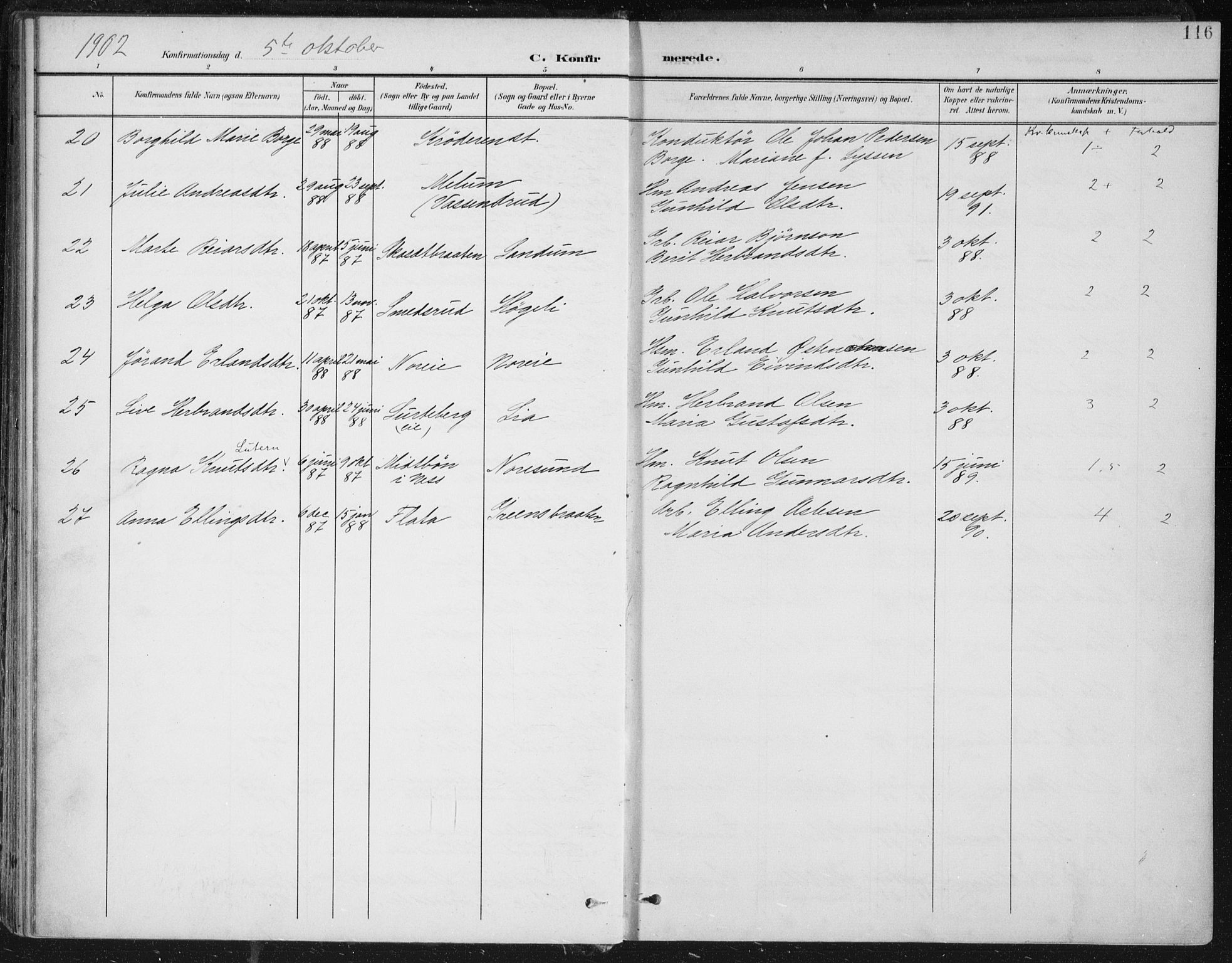 Krødsherad kirkebøker, AV/SAKO-A-19/F/Fa/L0007: Parish register (official) no. 7, 1900-1915, p. 116