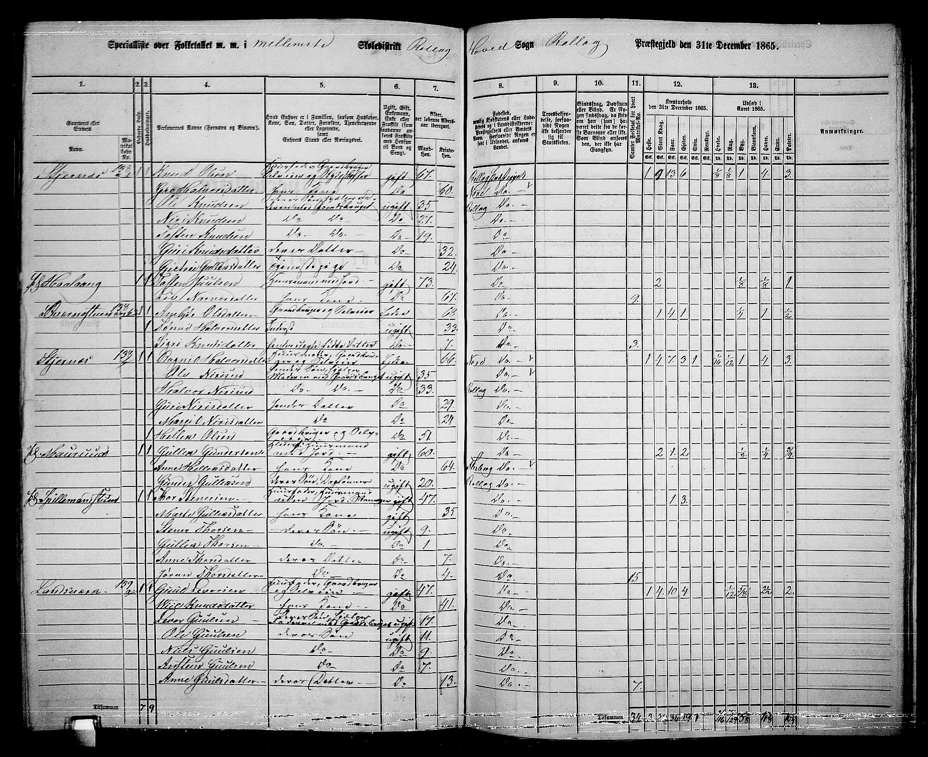 RA, 1865 census for Rollag, 1865, p. 27