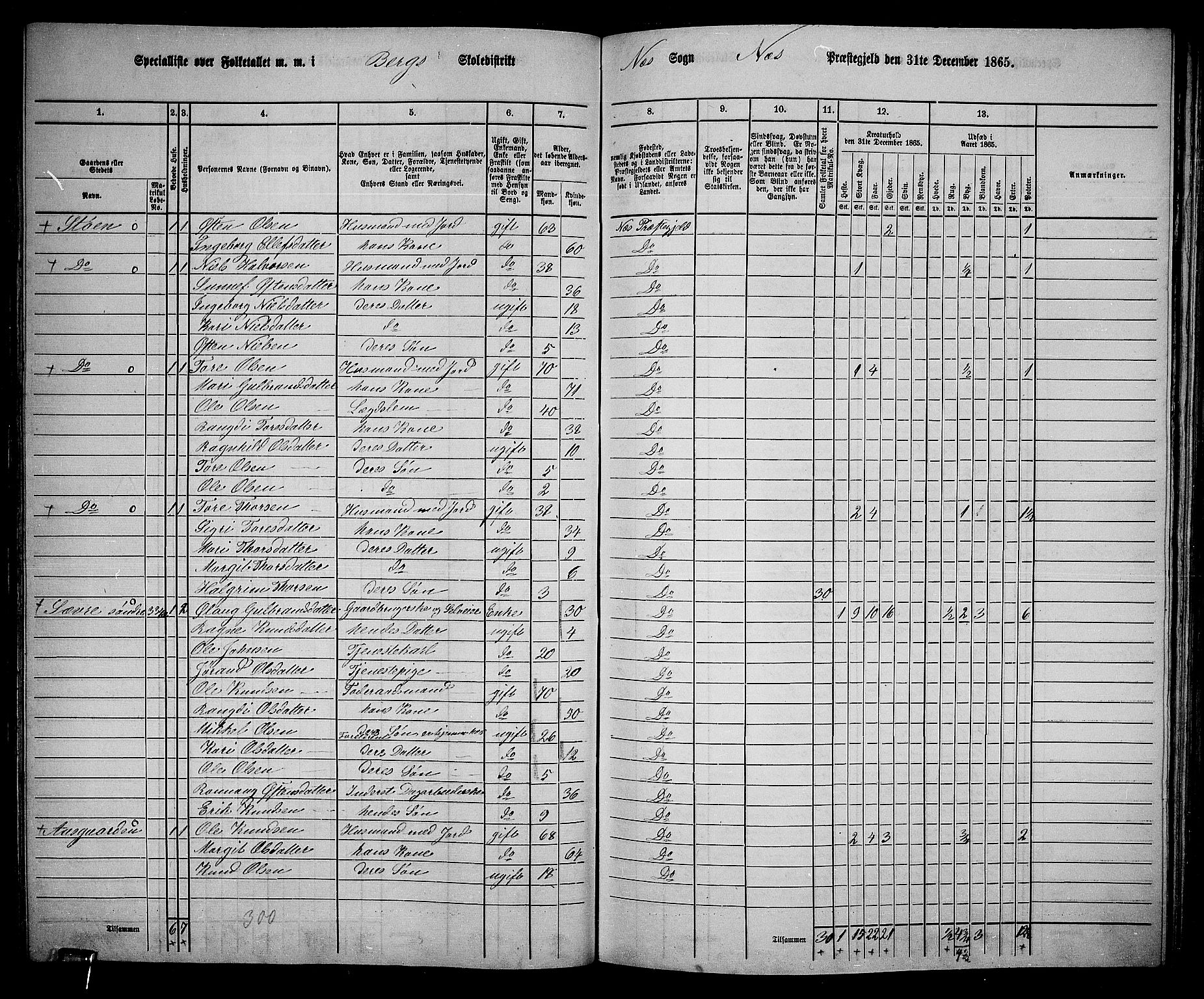 RA, 1865 census for Nes, 1865, p. 100