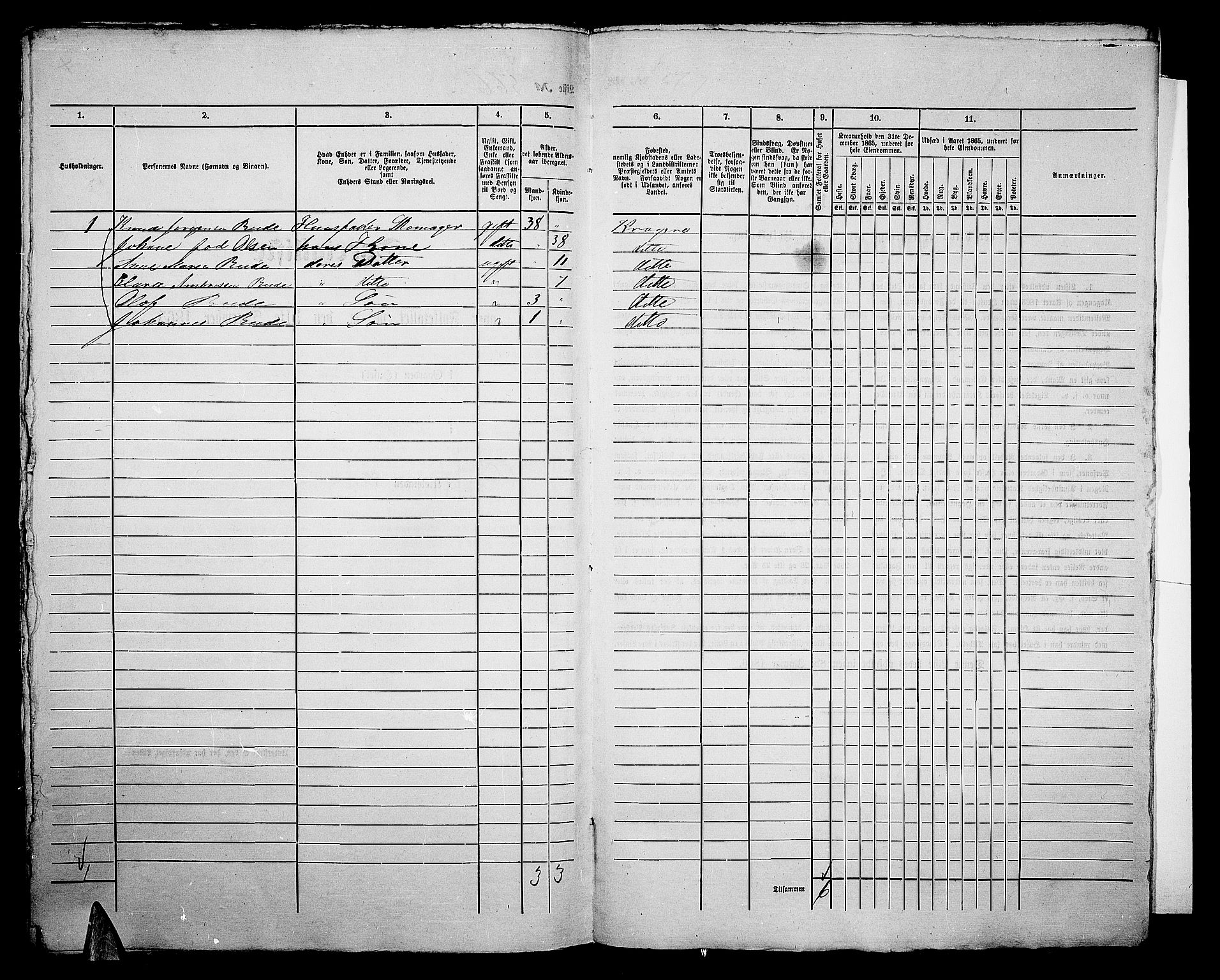 RA, 1865 census for Kragerø/Kragerø, 1865, p. 1149