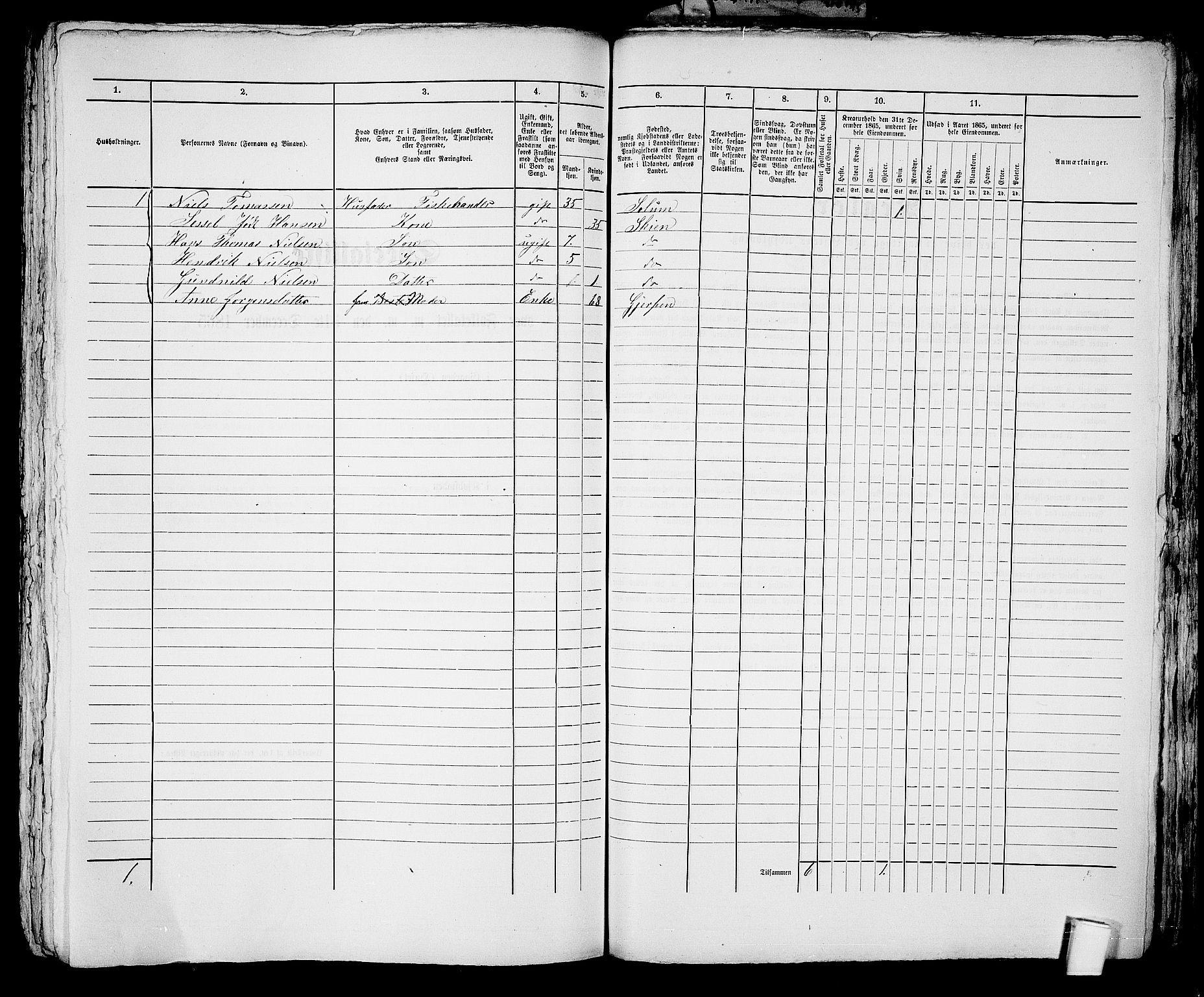 RA, 1865 census for Skien, 1865, p. 1189