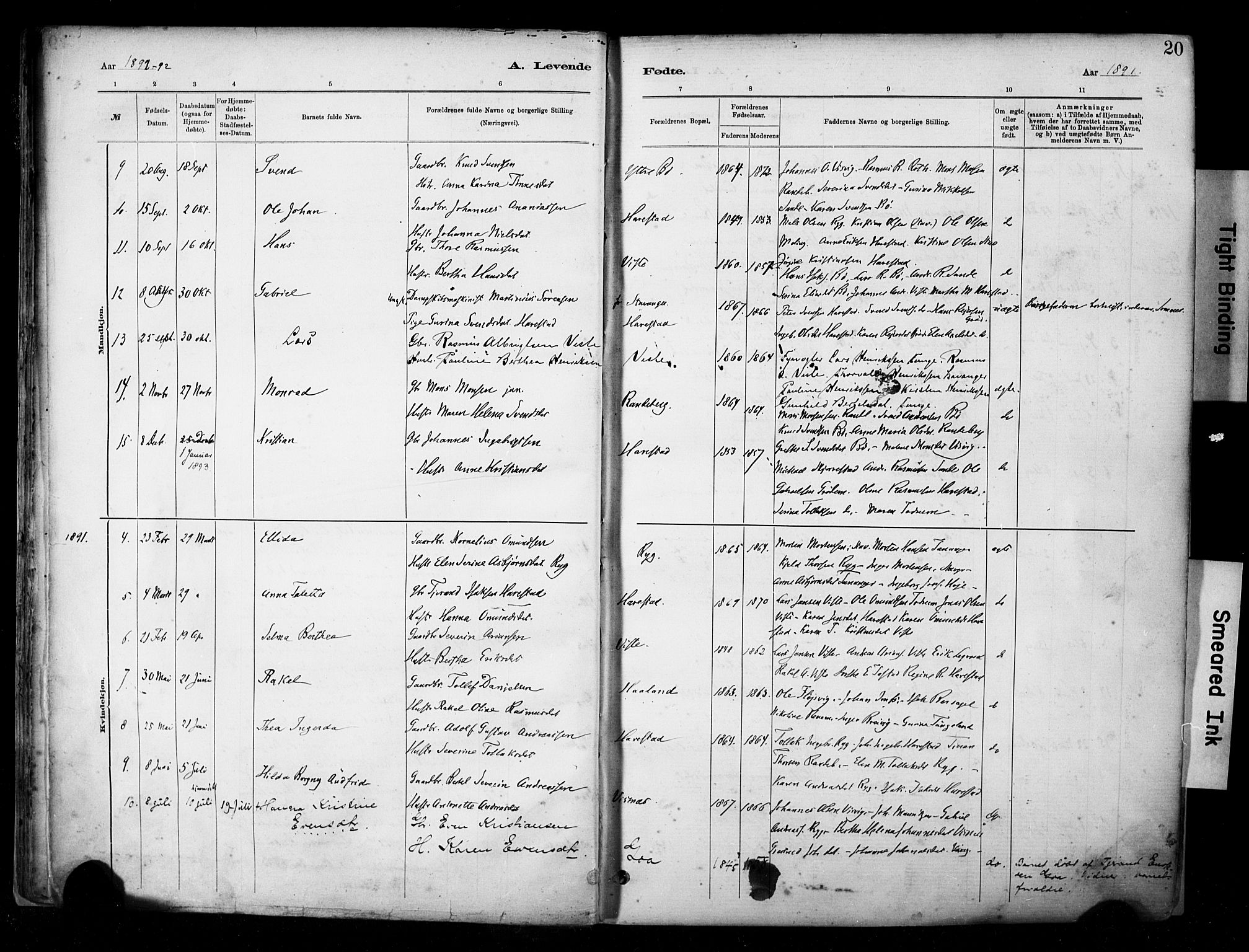 Hetland sokneprestkontor, SAST/A-101826/30/30BA/L0009: Parish register (official) no. A 9, 1882-1918, p. 20