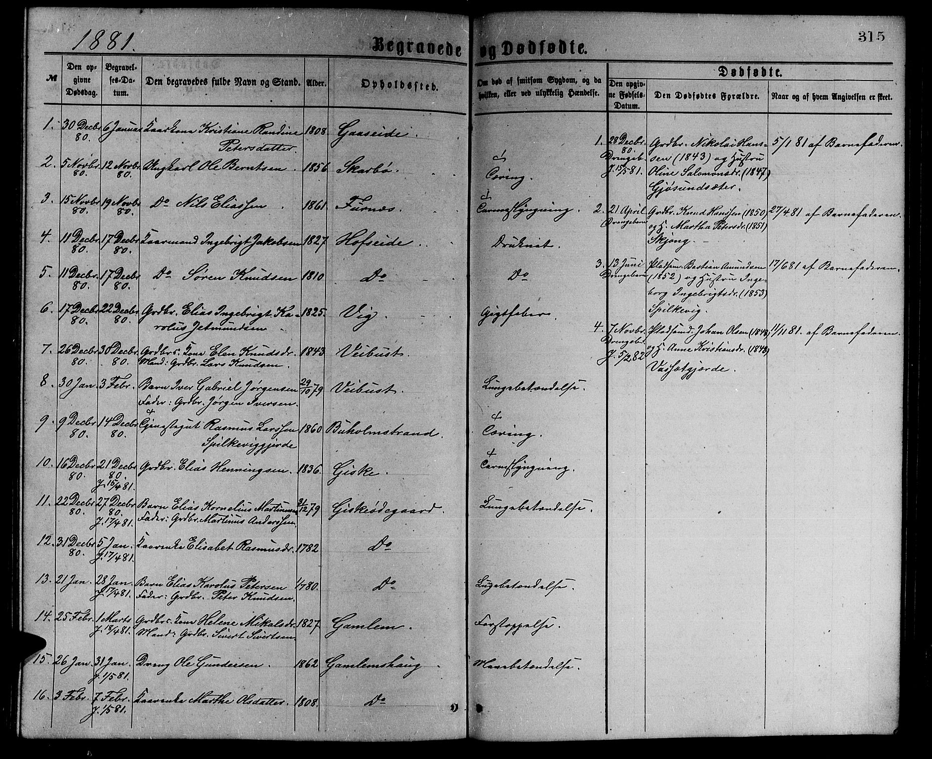 Ministerialprotokoller, klokkerbøker og fødselsregistre - Møre og Romsdal, AV/SAT-A-1454/528/L0429: Parish register (copy) no. 528C10, 1872-1886, p. 315