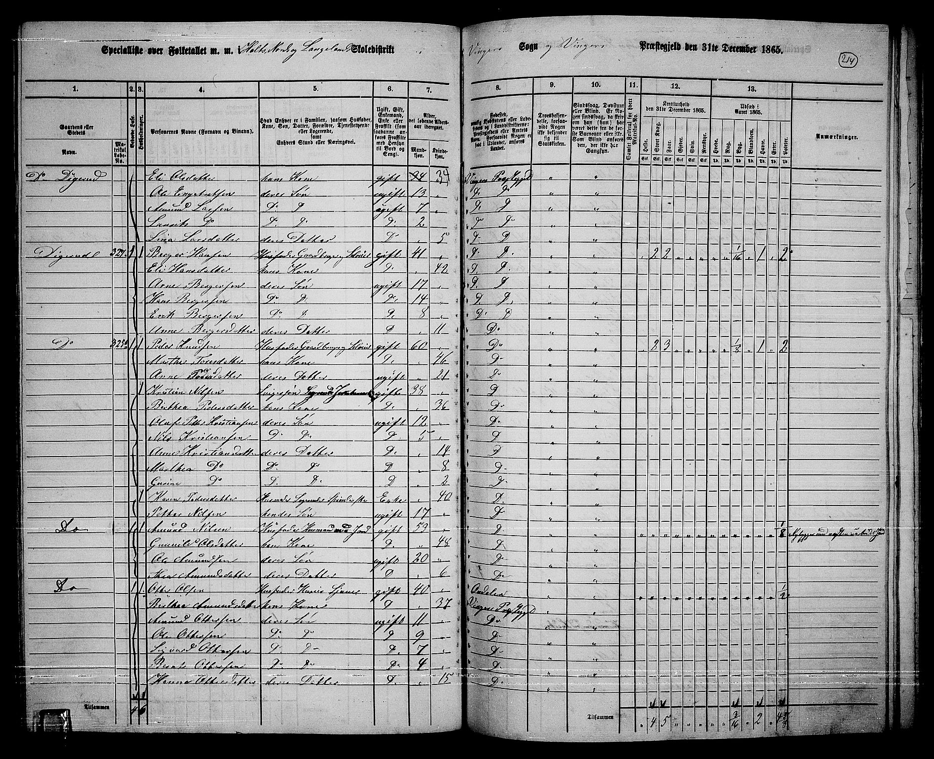 RA, 1865 census for Vinger/Vinger og Austmarka, 1865, p. 196