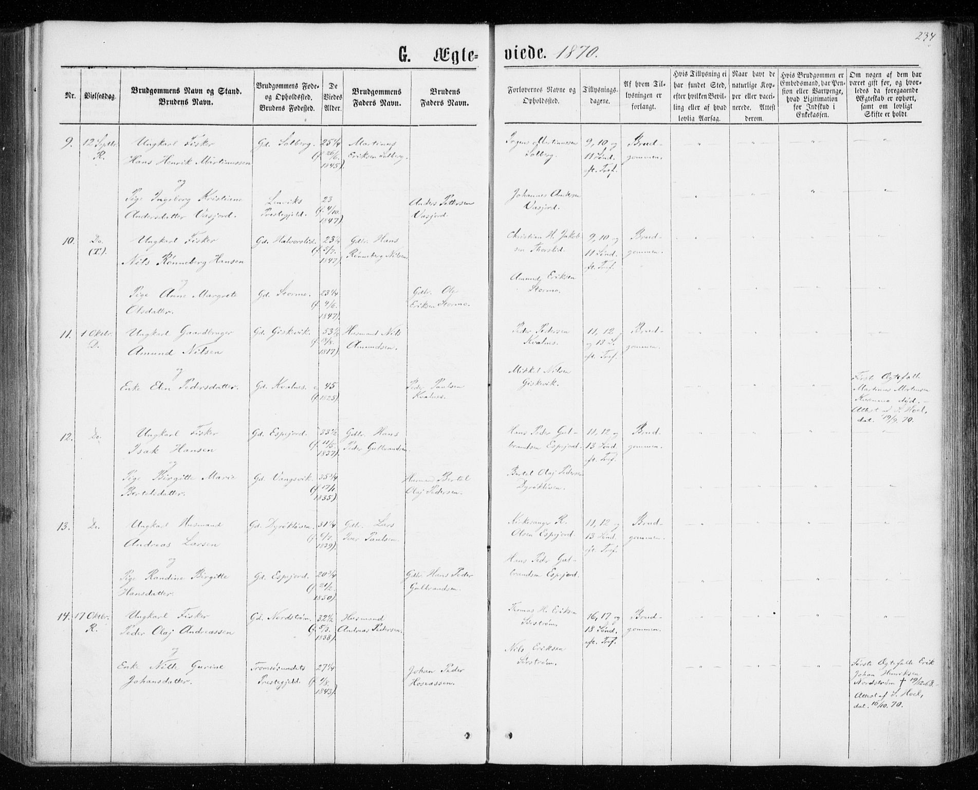 Tranøy sokneprestkontor, SATØ/S-1313/I/Ia/Iaa/L0008kirke: Parish register (official) no. 8, 1867-1877, p. 234
