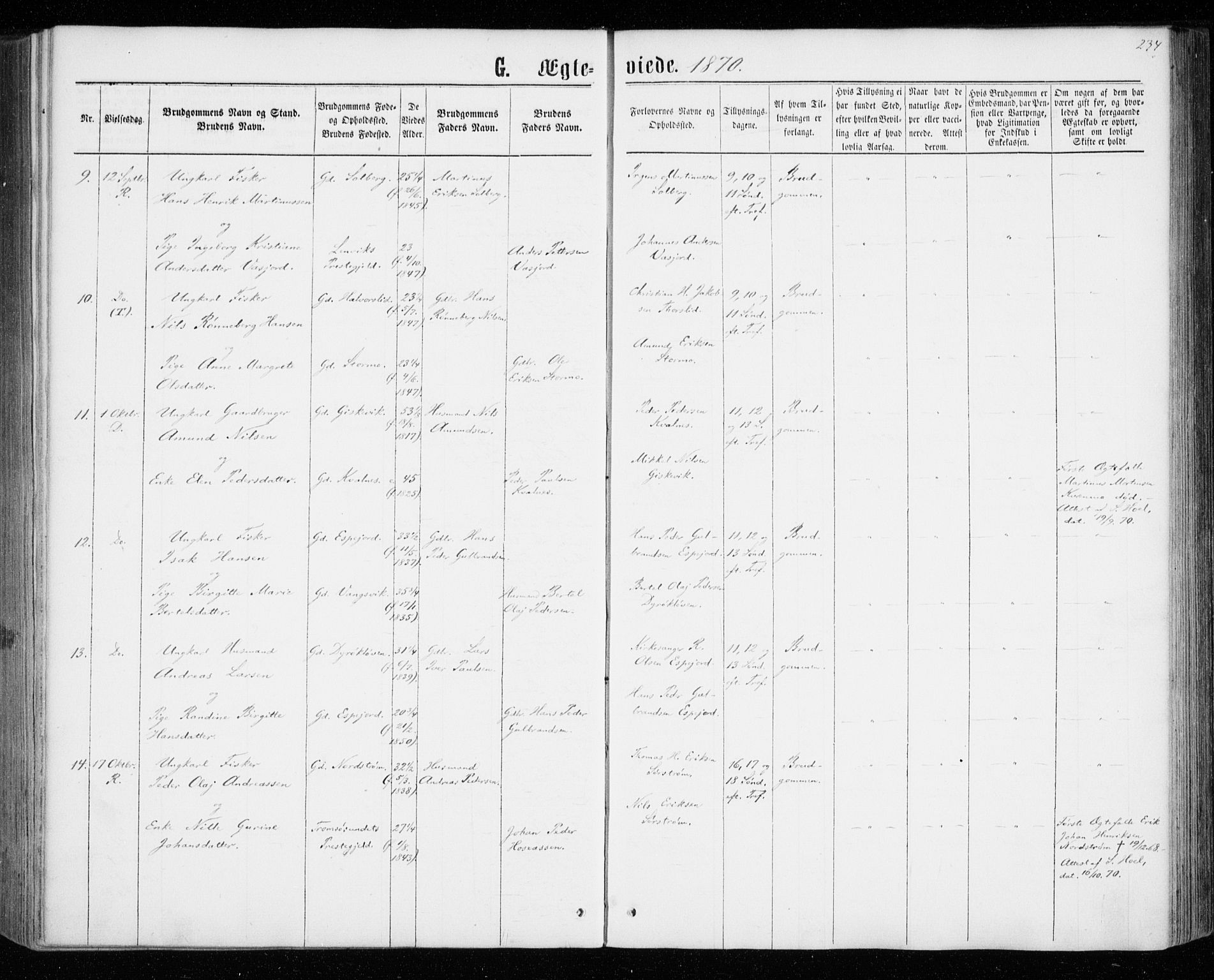 Tranøy sokneprestkontor, AV/SATØ-S-1313/I/Ia/Iaa/L0008kirke: Parish register (official) no. 8, 1867-1877, p. 234