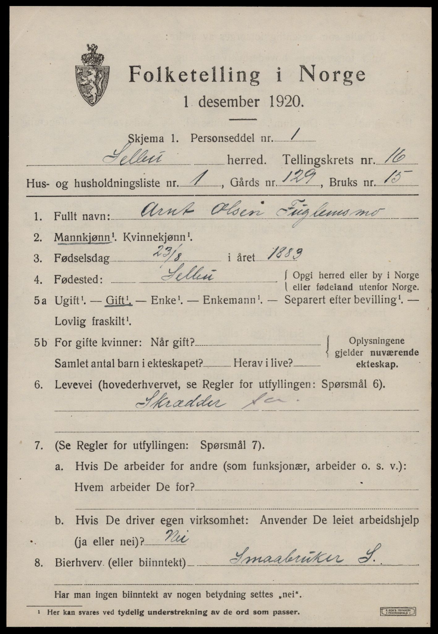 SAT, 1920 census for Selbu, 1920, p. 8494