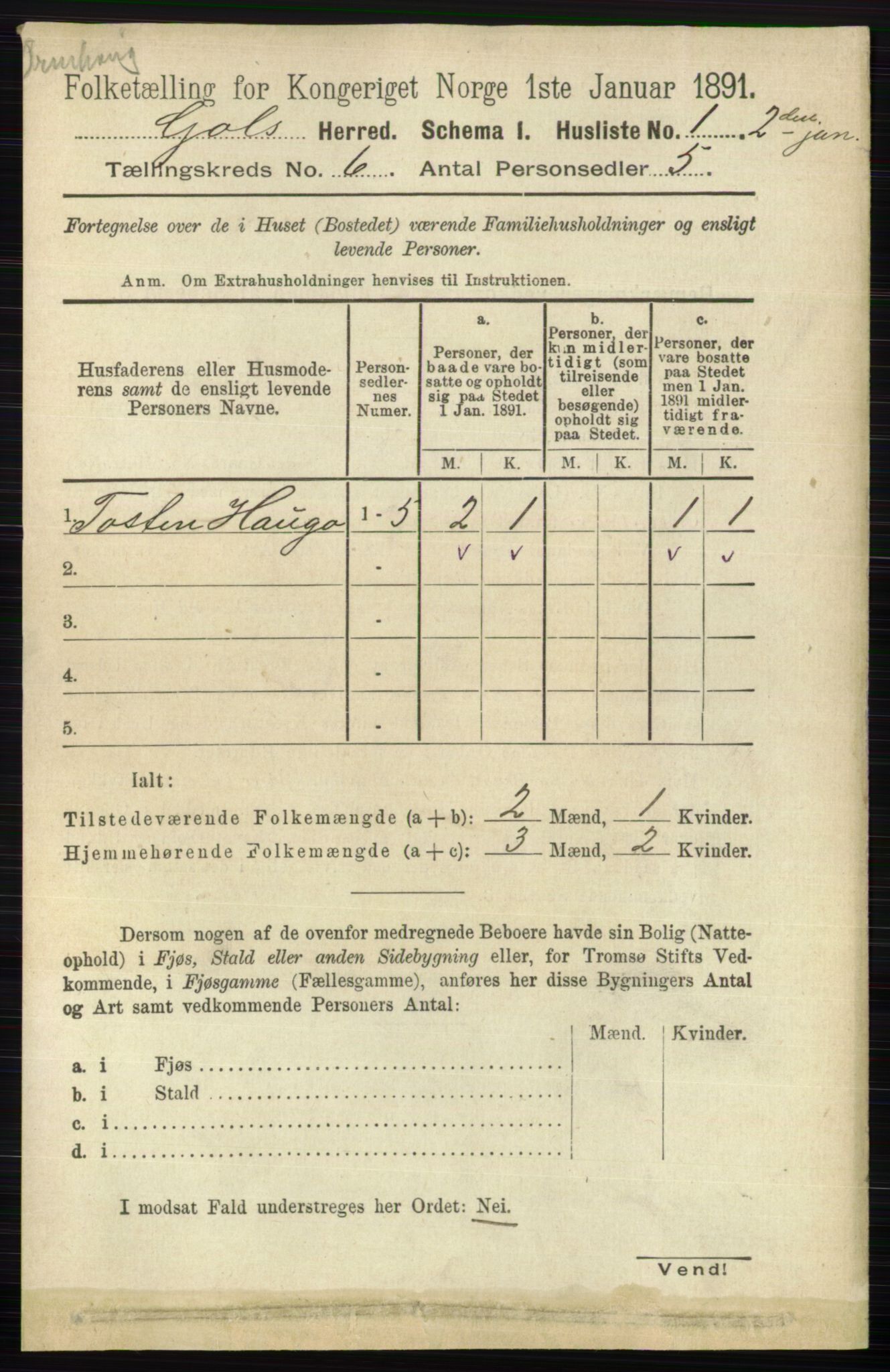 RA, 1891 census for 0617 Gol og Hemsedal, 1891, p. 2349