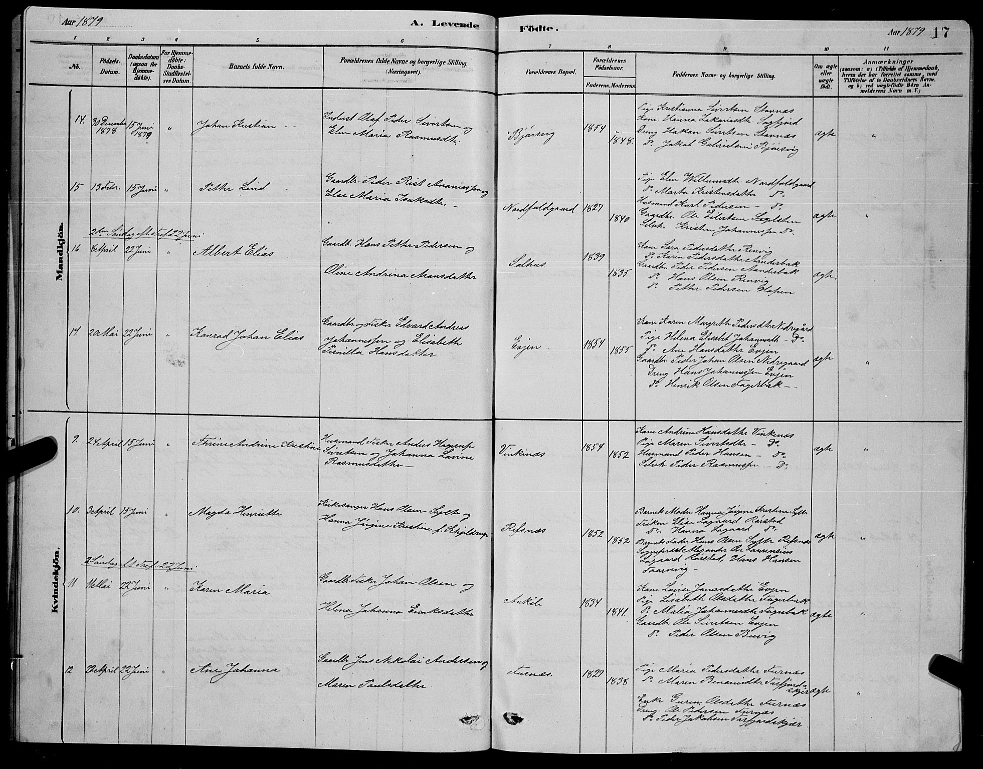 Ministerialprotokoller, klokkerbøker og fødselsregistre - Nordland, AV/SAT-A-1459/853/L0776: Parish register (copy) no. 853C04, 1878-1889, p. 17