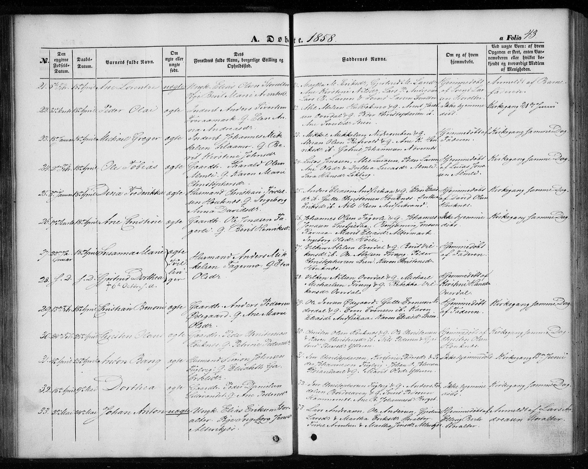 Ministerialprotokoller, klokkerbøker og fødselsregistre - Nordland, AV/SAT-A-1459/827/L0392: Parish register (official) no. 827A04, 1853-1866, p. 43