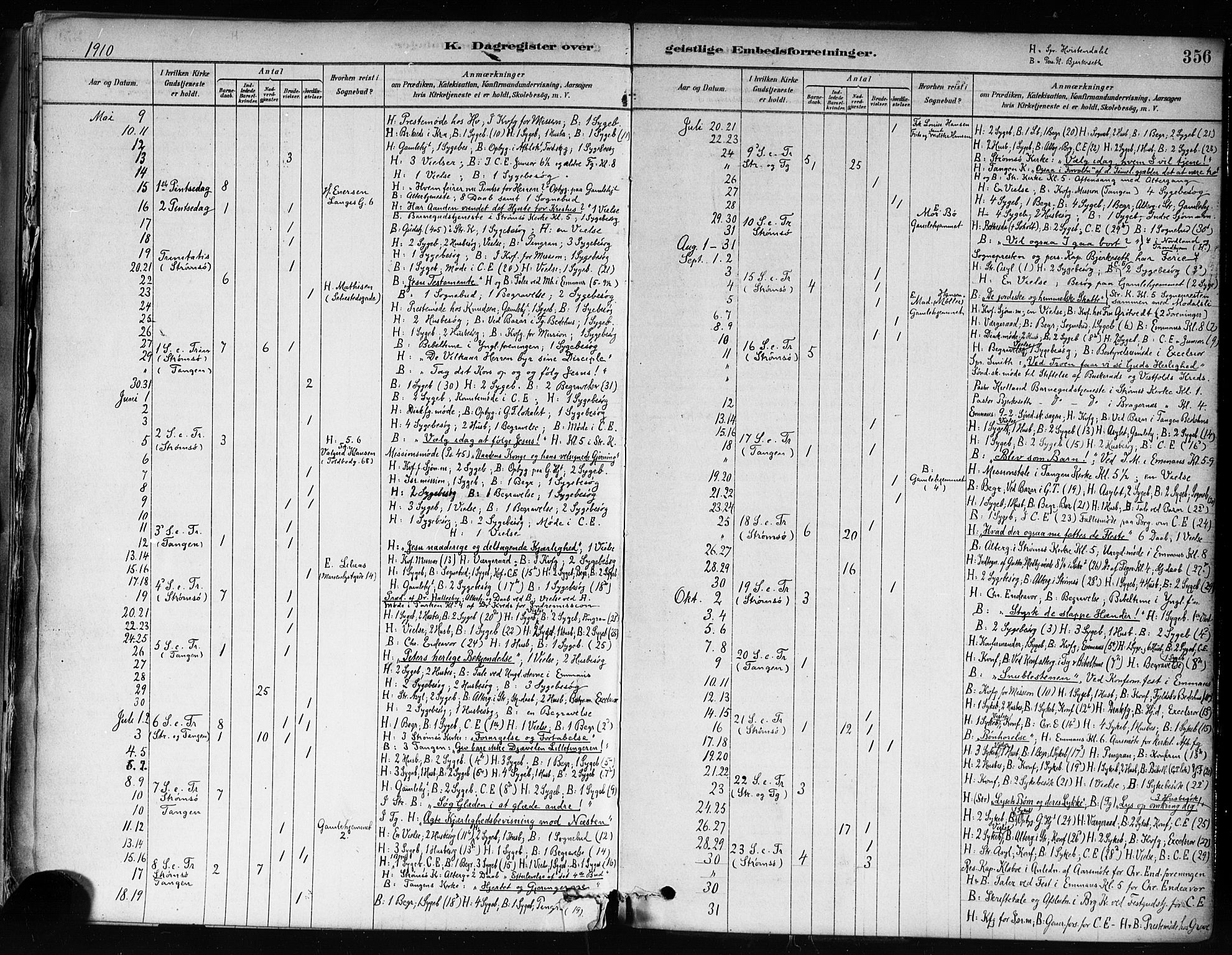 Strømsø kirkebøker, AV/SAKO-A-246/F/Fa/L0022: Parish register (official) no. I 22, 1879-1899, p. 356