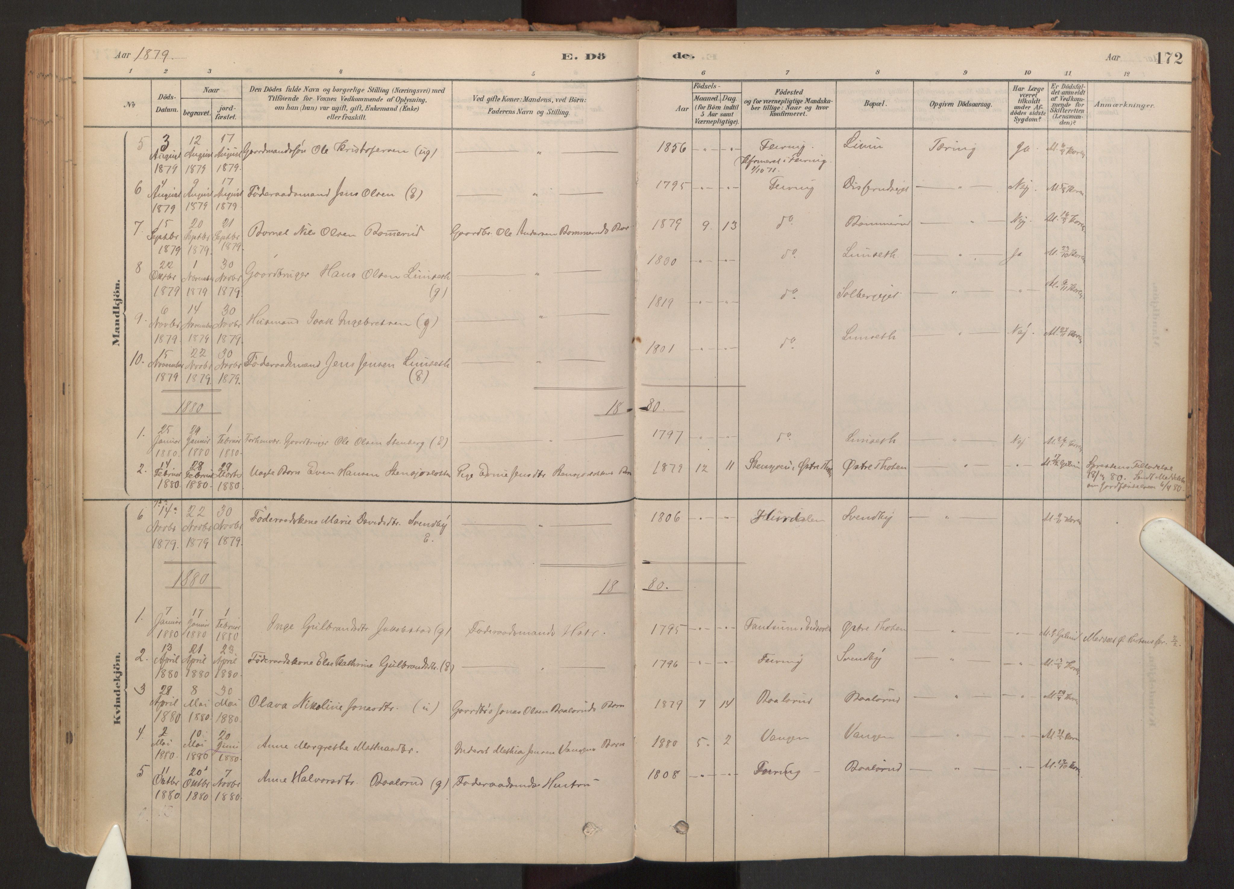 Hurdal prestekontor Kirkebøker, SAO/A-10889/F/Fb/L0003: Parish register (official) no. II 3, 1878-1920, p. 172