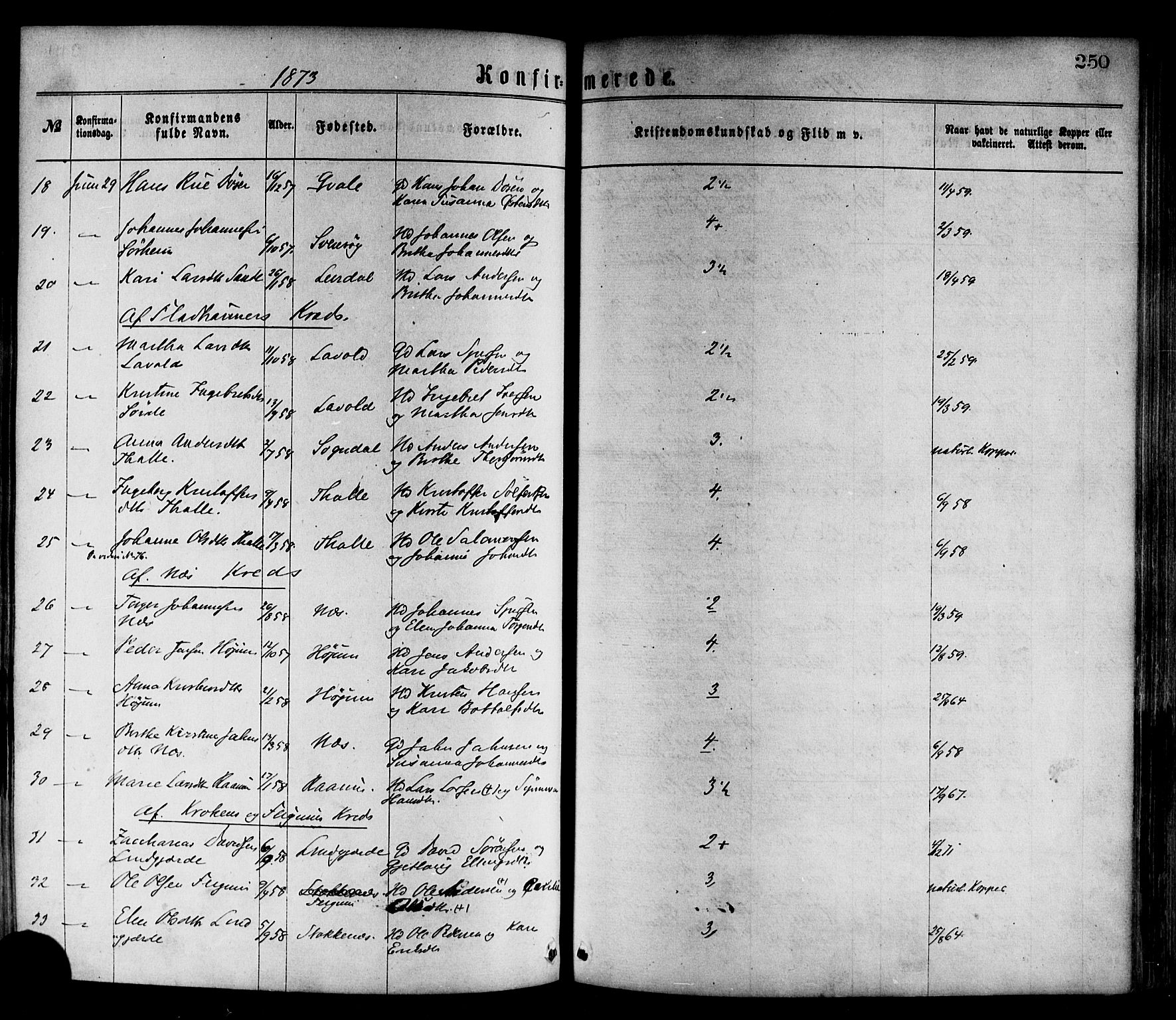 Luster sokneprestembete, AV/SAB-A-81101/H/Haa/Haaa/L0010: Parish register (official) no. A 10, 1871-1886, p. 250