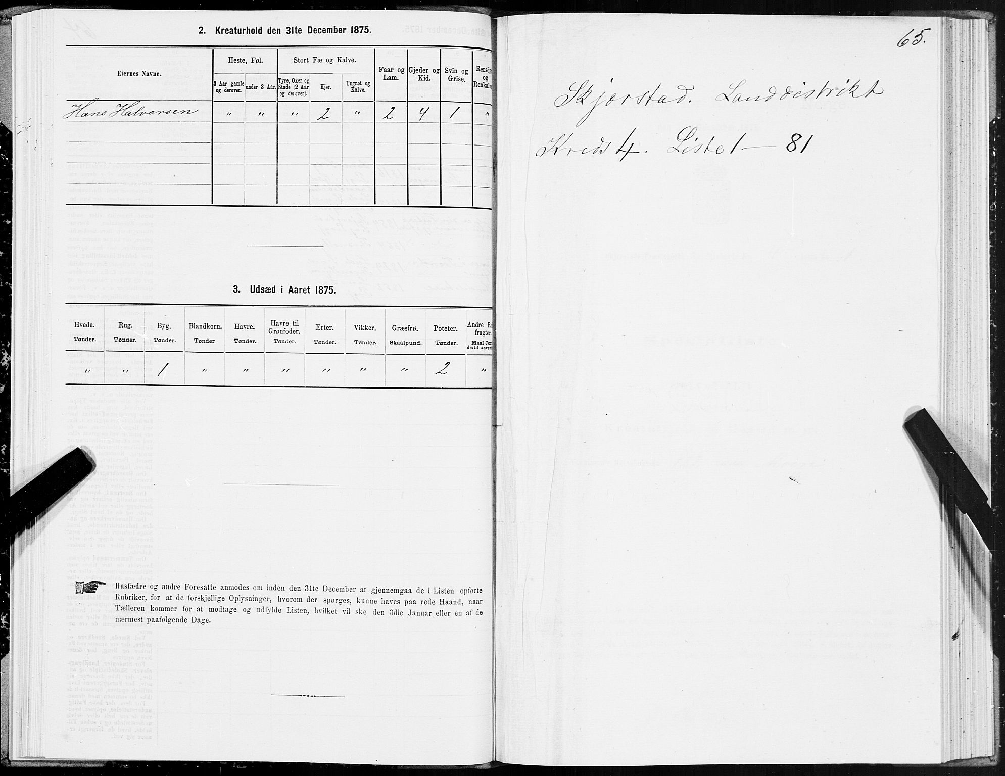 SAT, 1875 census for 1842P Skjerstad, 1875, p. 2065