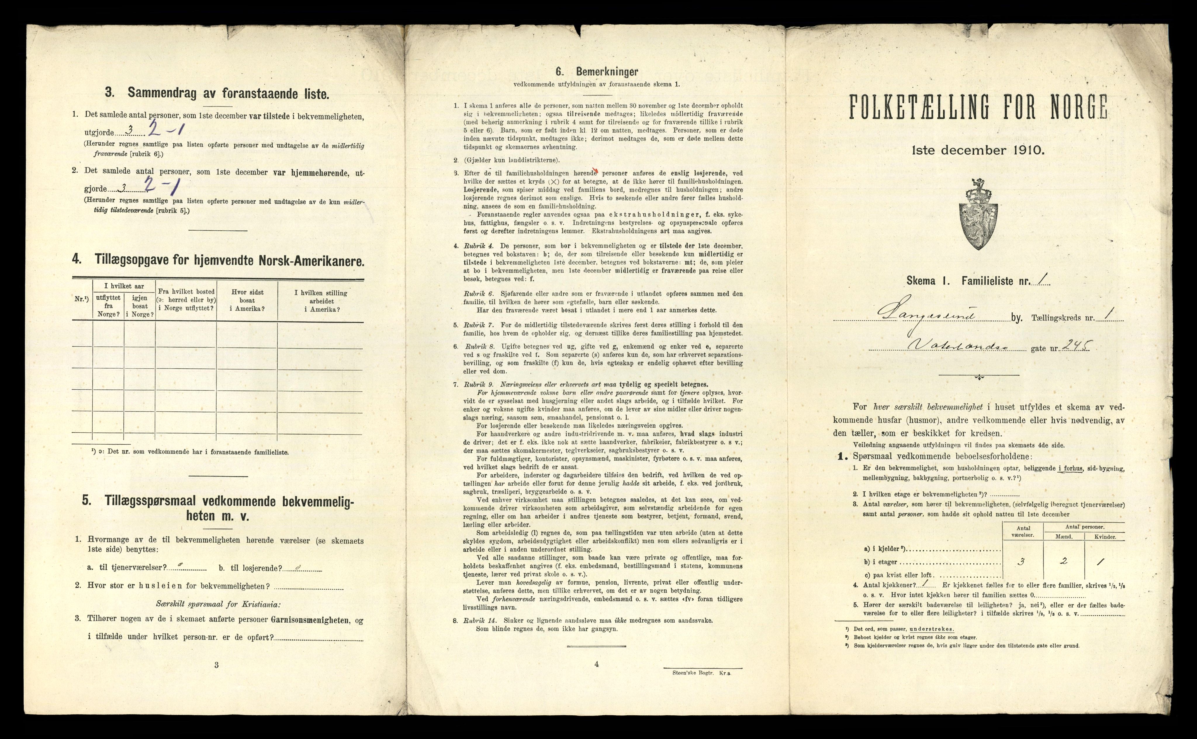 RA, 1910 census for Langesund, 1910, p. 19