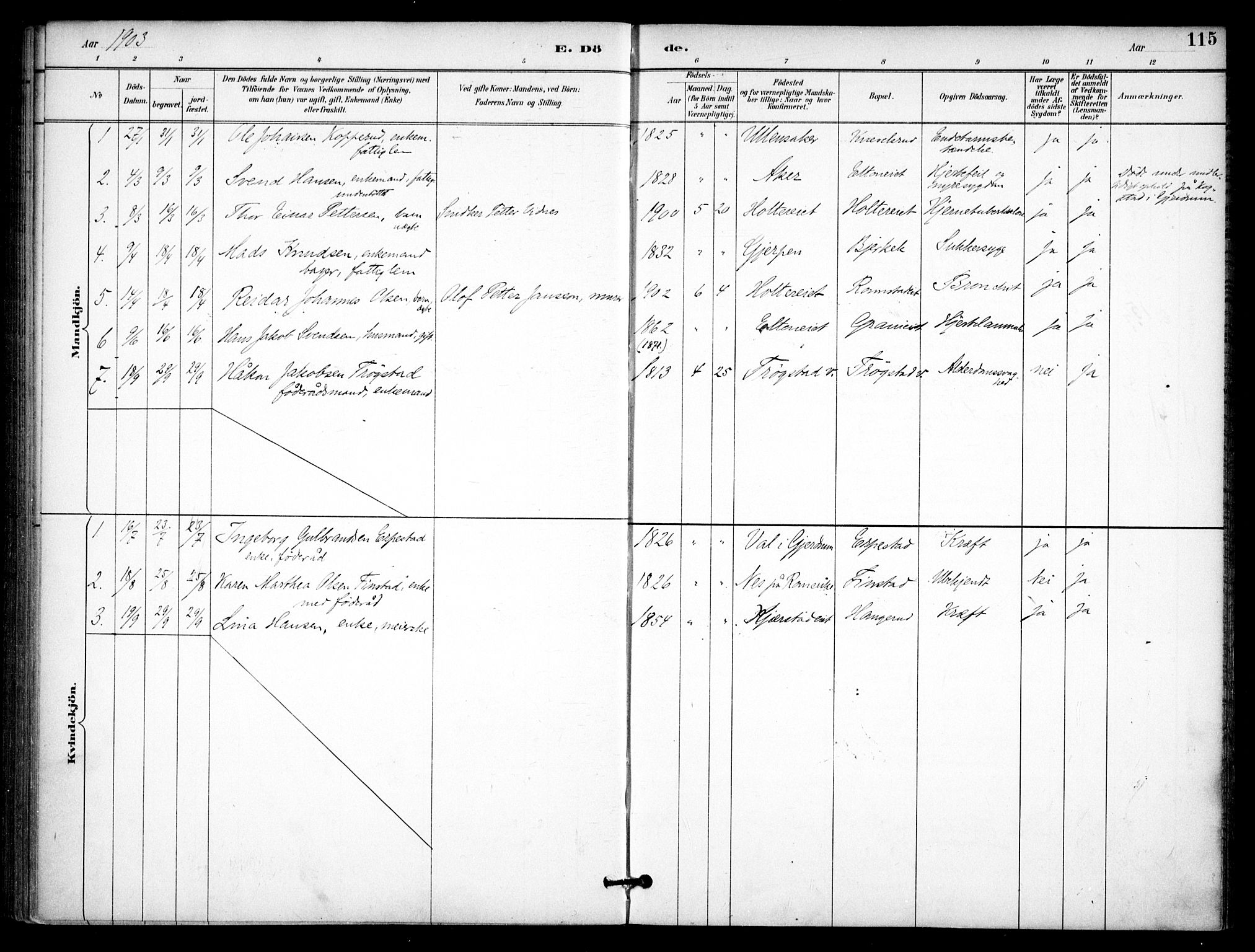 Nannestad prestekontor Kirkebøker, SAO/A-10414a/F/Fb/L0002: Parish register (official) no. II 2, 1891-1909, p. 115