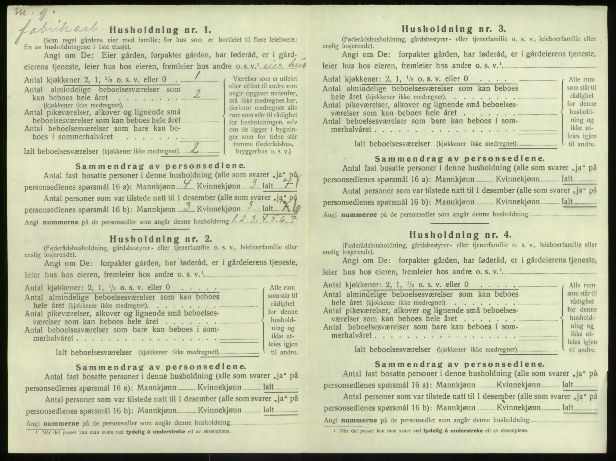 SAB, 1920 census for Hafslo, 1920, p. 870