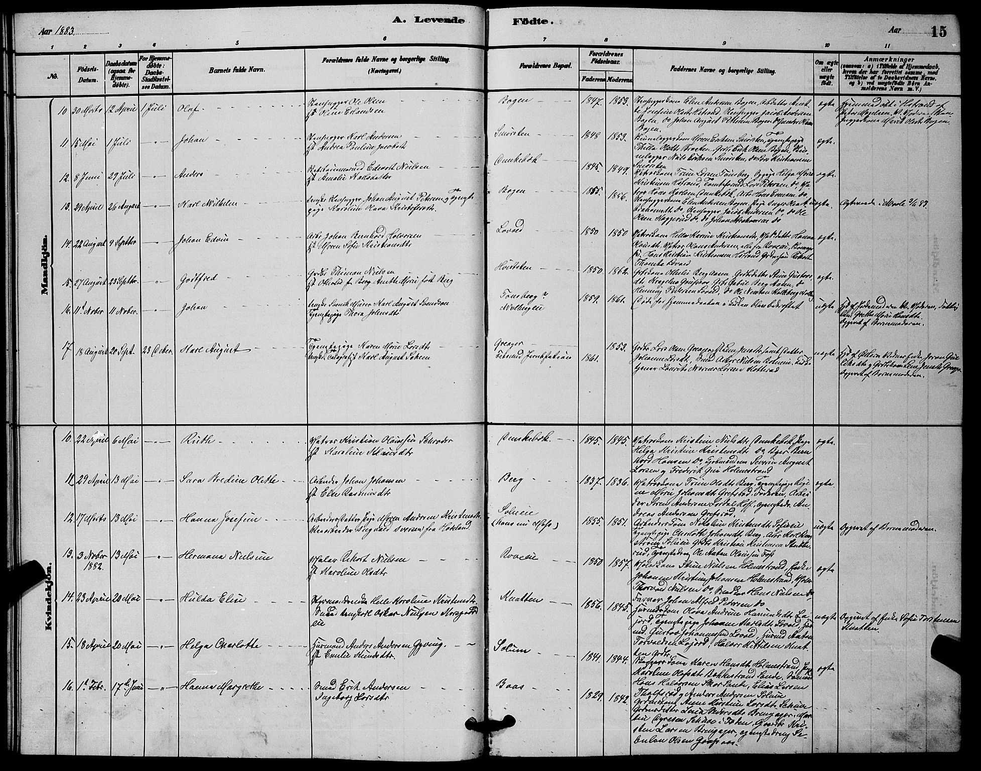 Botne kirkebøker, SAKO/A-340/G/Ga/L0003: Parish register (copy) no. I 3, 1878-1898, p. 15