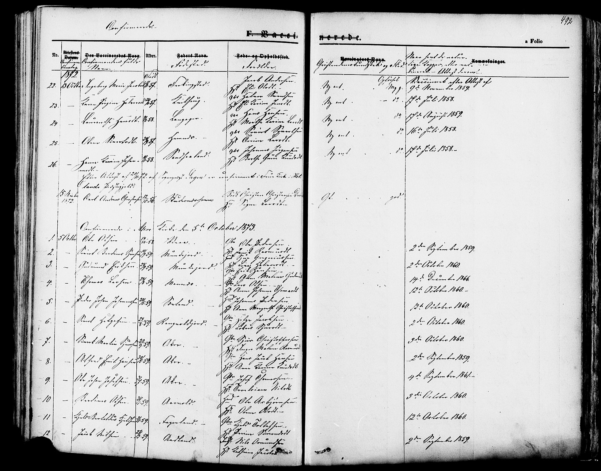 Skudenes sokneprestkontor, SAST/A -101849/H/Ha/Haa/L0006: Parish register (official) no. A 4, 1864-1881, p. 492
