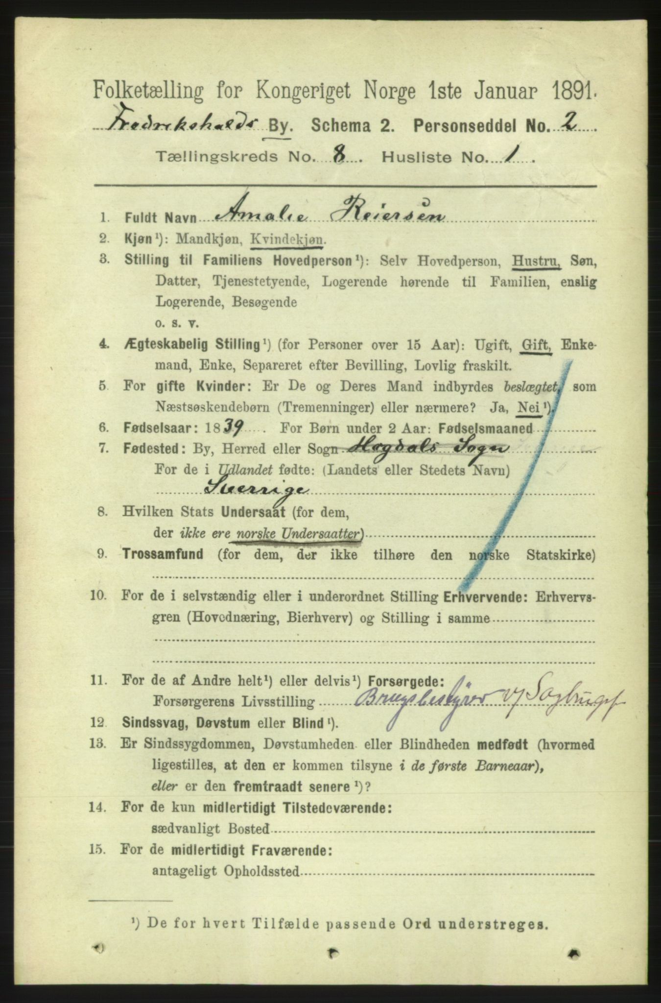 RA, 1891 census for 0101 Fredrikshald, 1891, p. 5419