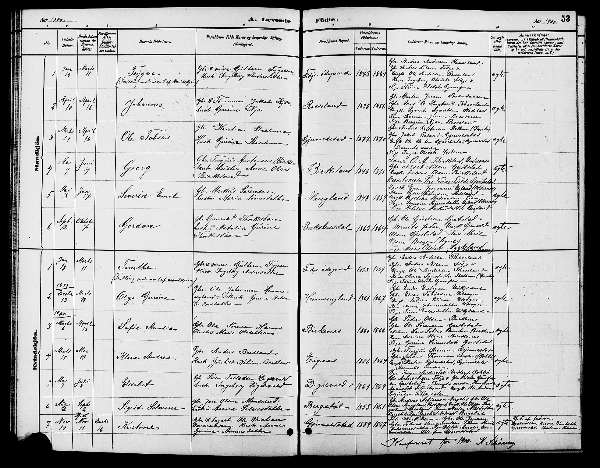 Søgne sokneprestkontor, SAK/1111-0037/F/Fb/Fba/L0004: Parish register (copy) no. B 4, 1888-1903, p. 53