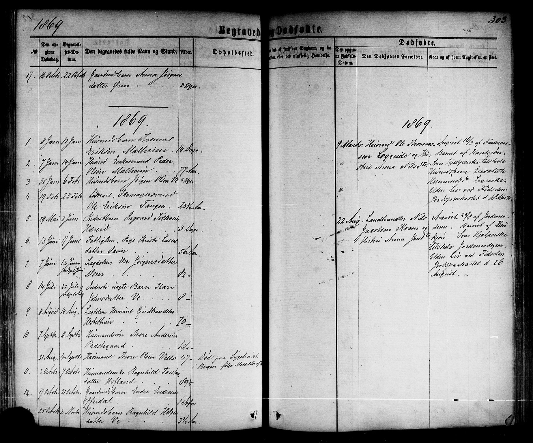 Årdal sokneprestembete, SAB/A-81701: Parish register (official) no. A 3, 1863-1886, p. 303