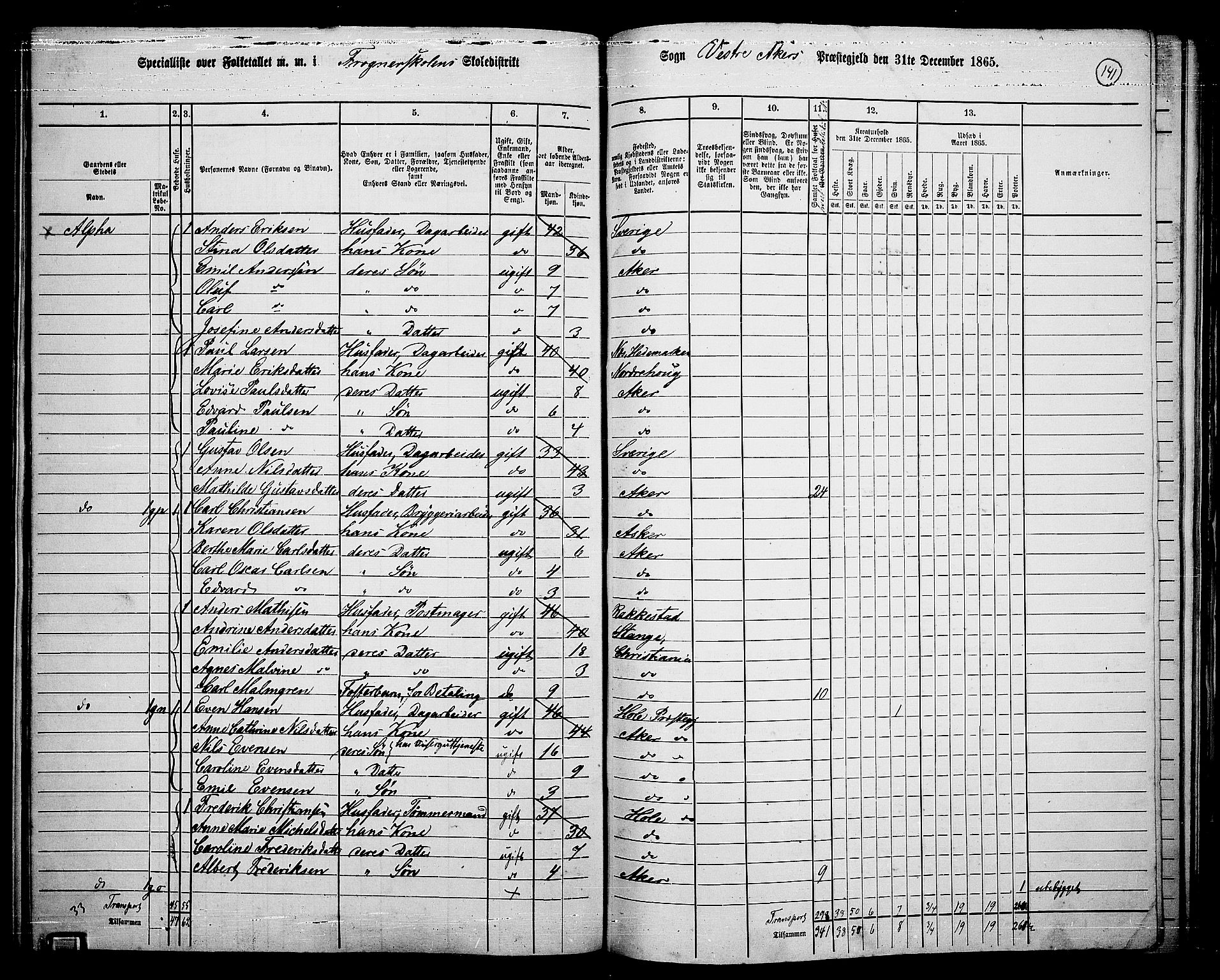 RA, 1865 census for Vestre Aker, 1865, p. 305